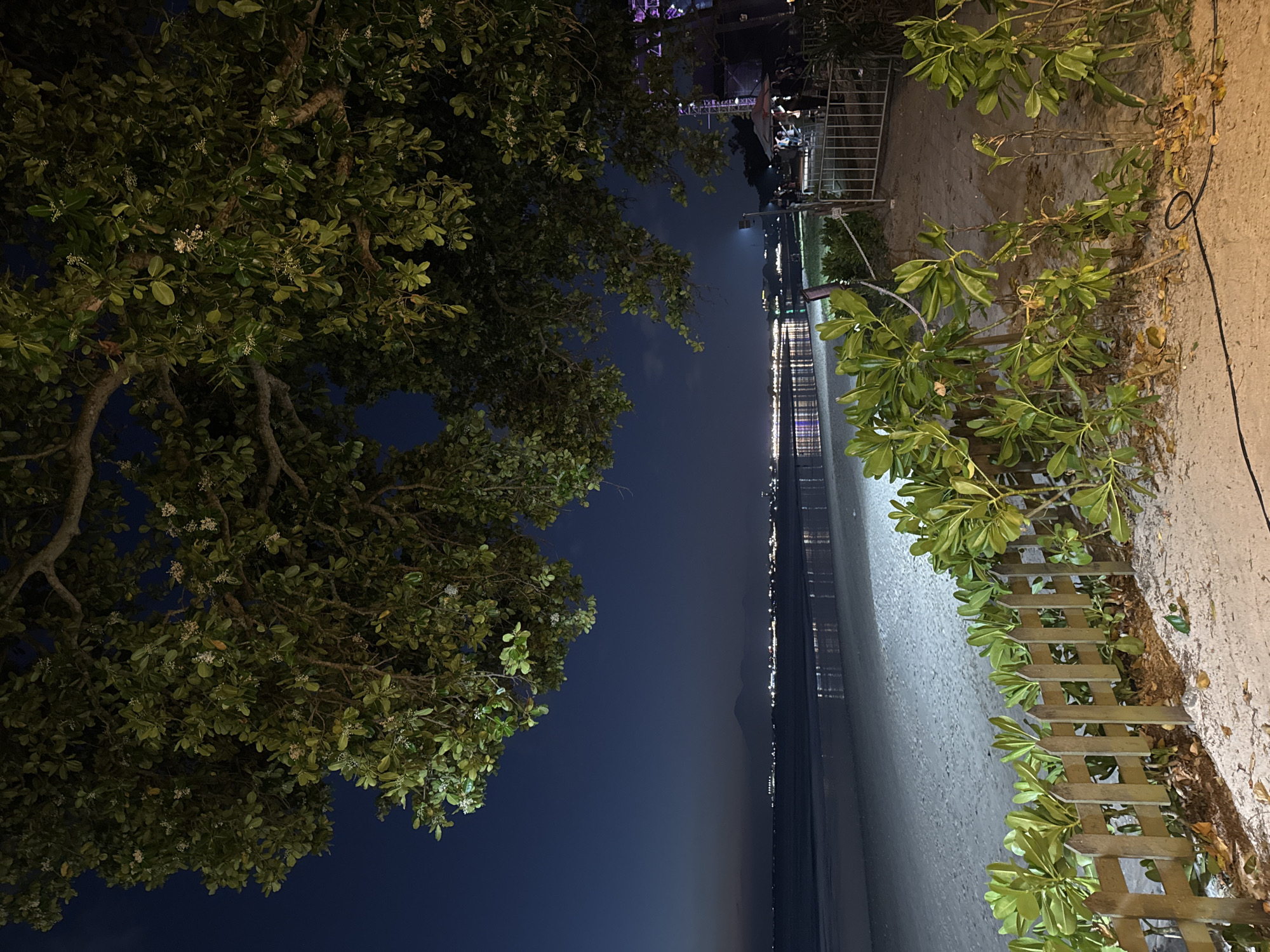 This image presents a serene nighttime landscape, likely captured from a coastal vantage point in Kuta Selatan, Indonesia. The time of day is clearly night, indicated by the dark blue sky and the numerous lights illuminating the distant horizon.
In the foreground, a large, lush tree with dense green foliage and small white blossoms dominates the left side of the frame, its branches extending across the top. On the right, a light-colored sandy or dirt path runs parallel to the water, edged by smaller green bushes and a low, rustic wooden fence. A black cable lies along this path.
The central part of the image features a calm body of water, possibly a sea or bay, which beautifully reflects the lights from a distant coastline or settlement. Faint silhouettes of mountains or hills can be discerned on the horizon, beyond the shimmering lights. In the background, behind the right-side bushes, there are faint hints of metallic structures, possibly scaffolding or part of a stage, suggesting some human activity or infrastructure nearby.
No people are clearly visible or identifiable in the image. The primary "activity" is the tranquil presence of the natural environment at night. The scene evokes a peaceful and quiet atmosphere. No text is visible within the image.