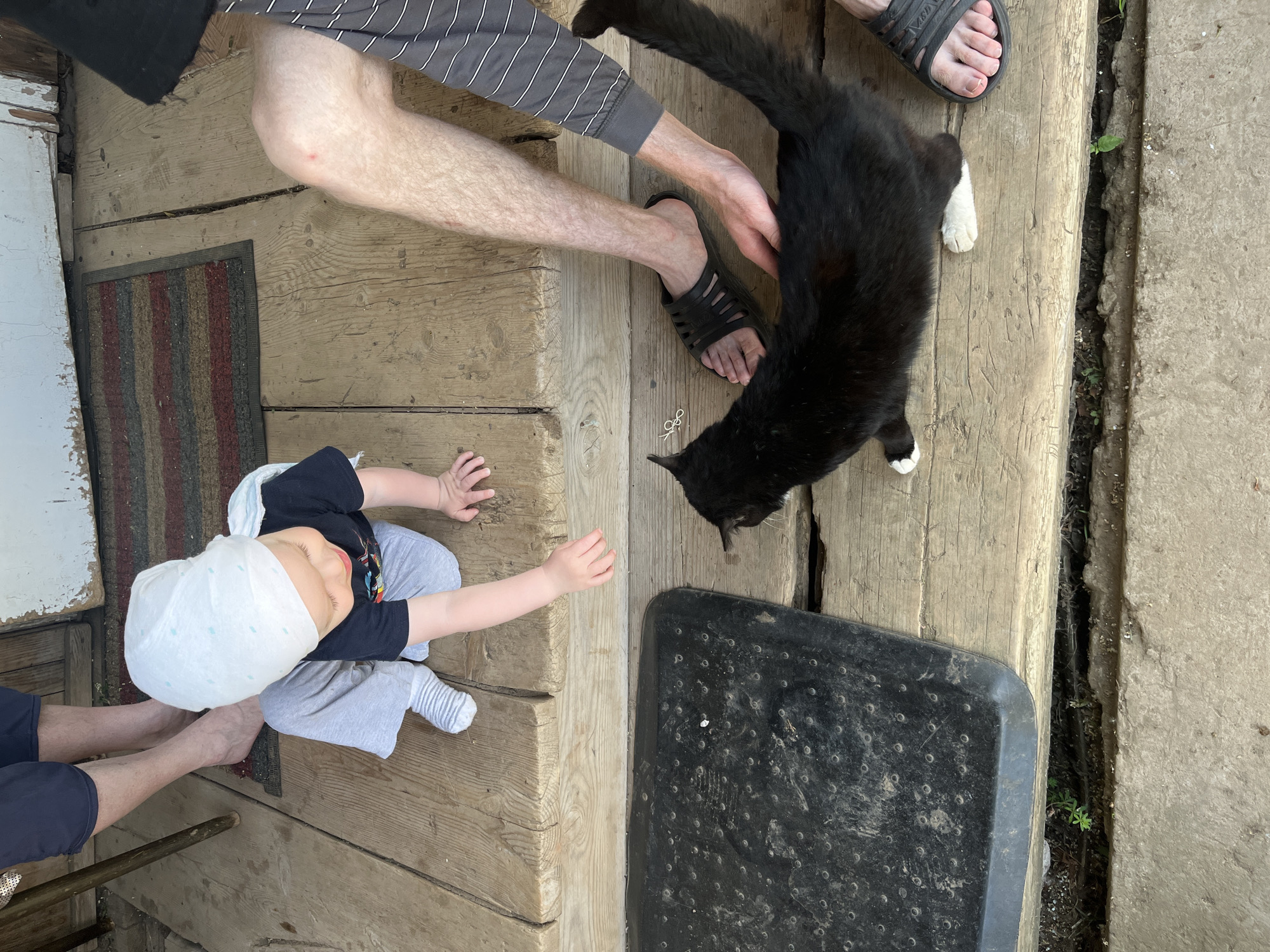 The image captures an outdoor scene likely in a rural or semi-rural setting, potentially Сосново, Russia. A young child wearing a head covering (possibly a diaper), dark shirt, and light gray pants sits on a weathered wooden deck. The child's arms are outstretched, seemingly reaching toward something out of frame. Nearby, a black cat with white paws and a white spot on its chest is being restrained or petted by an adult. The adult is wearing gray and white striped pants, a black t-shirt, and black sandals. The deck is made of planks with noticeable gaps and wear, suggesting age. Near the cat is a black, rectangular rubber mat with a textured surface. To the right of the deck is a concrete surface with weeds growing in the crevice. A doormat is visible behind the child, partially obscured. The overall scene suggests a casual, familiar interaction between people and animals in a relaxed outdoor setting.