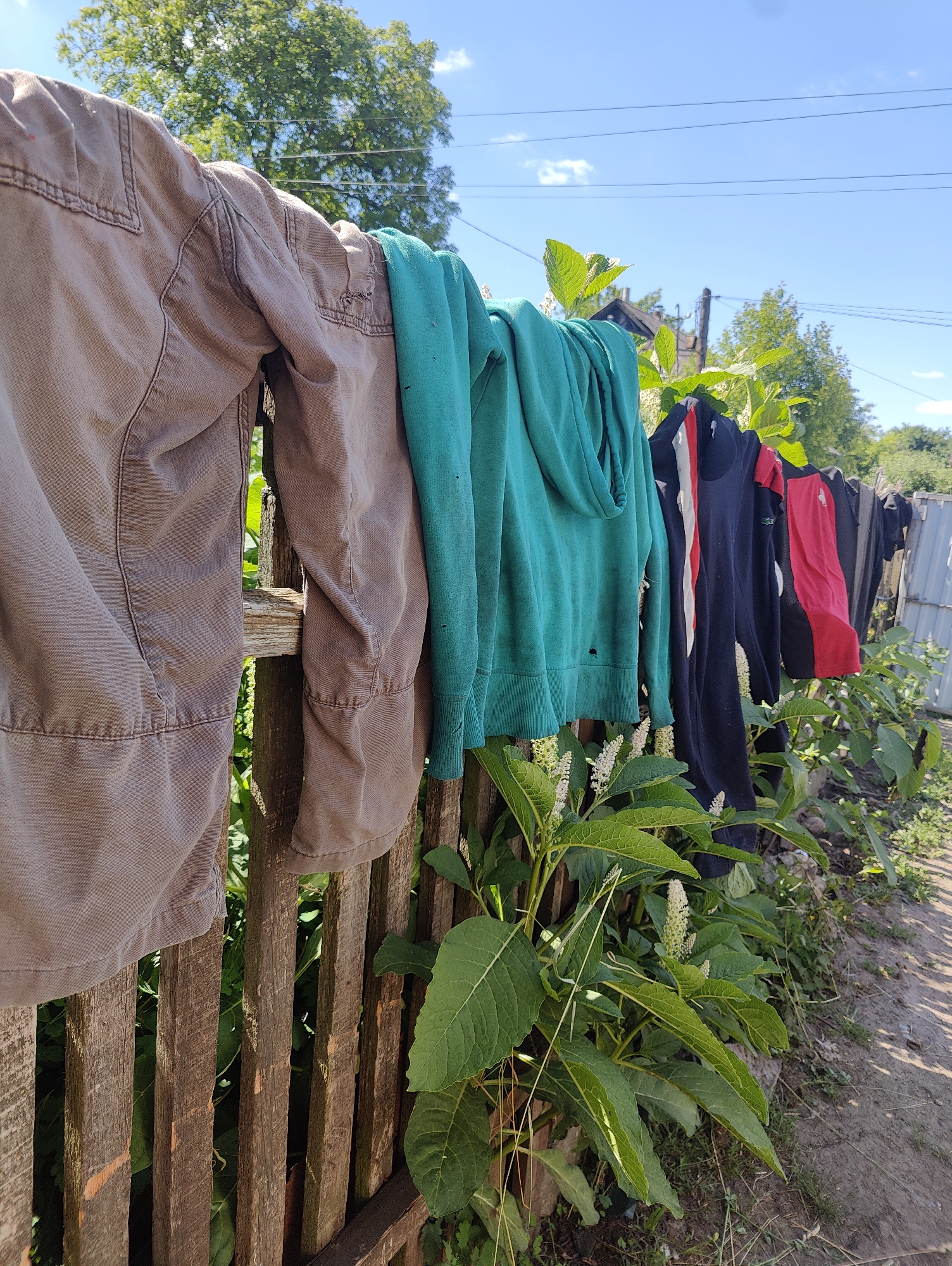 In Yarmolyntsi, Ukraine, several articles of clothing, including a brown jacket, a teal hoodie, and a navy blue jacket with red and white stripes, are hanging on a clothesline strung across a weathered wooden fence. The clothing appears to be outdoors, with green foliage growing along the base of the fence and a clear blue sky with scattered clouds visible above. In the background, trees and power lines can be seen, suggesting a residential or semi-rural setting. The scene is illuminated by bright sunlight, casting shadows on the ground. No people are visible in the image.