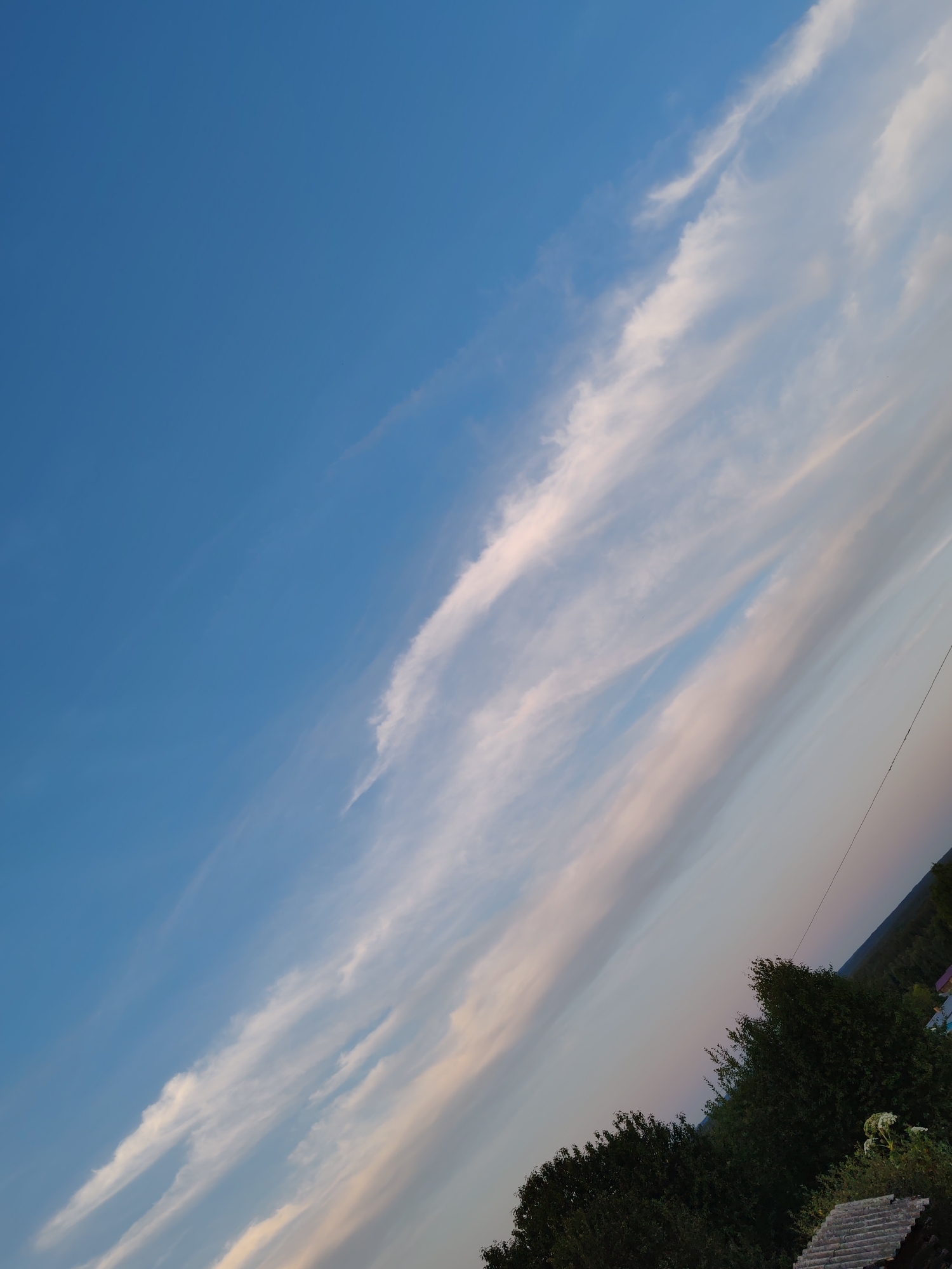 A tilted, wide-angle shot captures a vibrant blue sky with scattered, thin white clouds streaking diagonally across the frame. The clouds exhibit a wispy, feathery texture, with hints of pink and yellow suggesting the presence of sunset or sunrise. The lower right portion of the image reveals a dark green, dense forest line, partially obscuring a few distant rooftops of what appears to be a rural settlement. The horizon is angled, with a power line running diagonally from the upper right corner towards the lower right. A single white flower blooms in the foreground amongst the foliage. The scene is devoid of any visible people or animals. The overall impression is that of a serene, natural landscape in a rural setting.