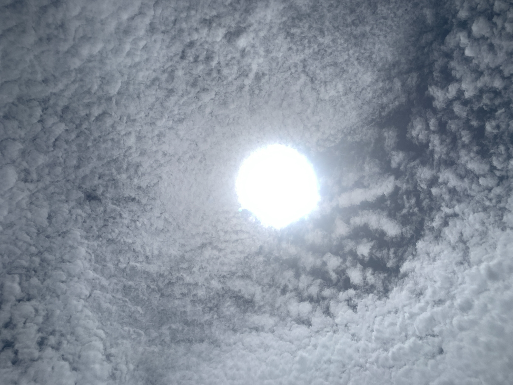 This is a media file depicting a sky filled with altocumulus clouds, a common cloud formation. The clouds appear as a textured, dappled pattern across the entire frame, with varying shades of grey indicating different densities and depths. In the center of the image, the sun is visible as an intensely bright, almost blinding white orb, suggesting it is high in the sky. The light from the sun is so powerful that it washes out the details of the clouds immediately surrounding it, creating a halo effect. The overall impression is one of a daytime scene with a partly cloudy sky.
The location context provided is Kuru Karama, Nigeria. Without further information or visual cues within the image, it is difficult to pinpoint a specific time of day beyond "daytime," or to infer any particular emotions. The weather appears to be partly cloudy, which is a common atmospheric condition. There is no visible text in the image. The scene is entirely focused on the sky and cloud formations, with no elements of a landscape, objects, or people present.