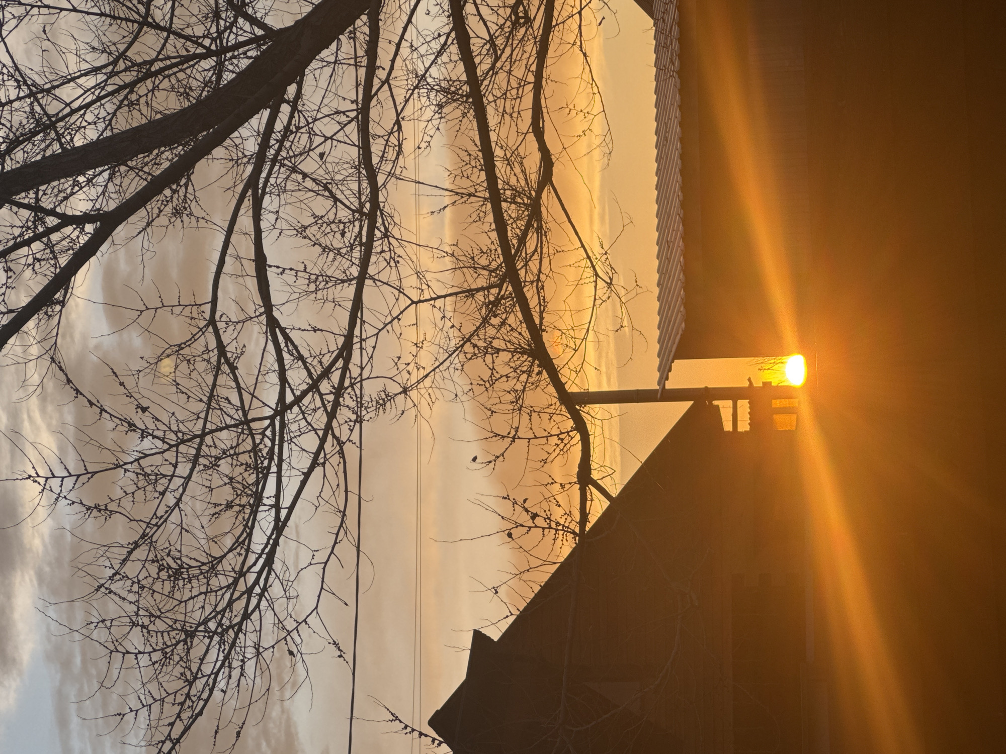The image displays a serene and atmospheric scene, likely captured during sunrise or sunset in Krasnoyarsk, Russia. The sky is filled with warm, glowing shades of orange and yellow, indicating either the early morning or late evening hours. Against this luminous backdrop, numerous bare tree branches are silhouetted, their intricate, dark forms stretching across the left and top of the frame, creating a stark and striking contrast.
On the right side, the dark silhouette of a building, possibly a residential structure, is partially visible. A brilliant light source, which appears to be either the low-hanging sun or a powerful artificial lamp, emits intense golden rays that fan out across the scene from the right, creating a significant lens flare and illuminating the building's edge. The clouds in the sky are softly diffused with these warm colors, suggesting a partly cloudy or hazy sky. The overall mood is peaceful and dramatic, emphasizing the beauty of natural light and silhouettes in an urban or suburban setting. There are no people visible, no specific events taking place, and no discernible text in the image.