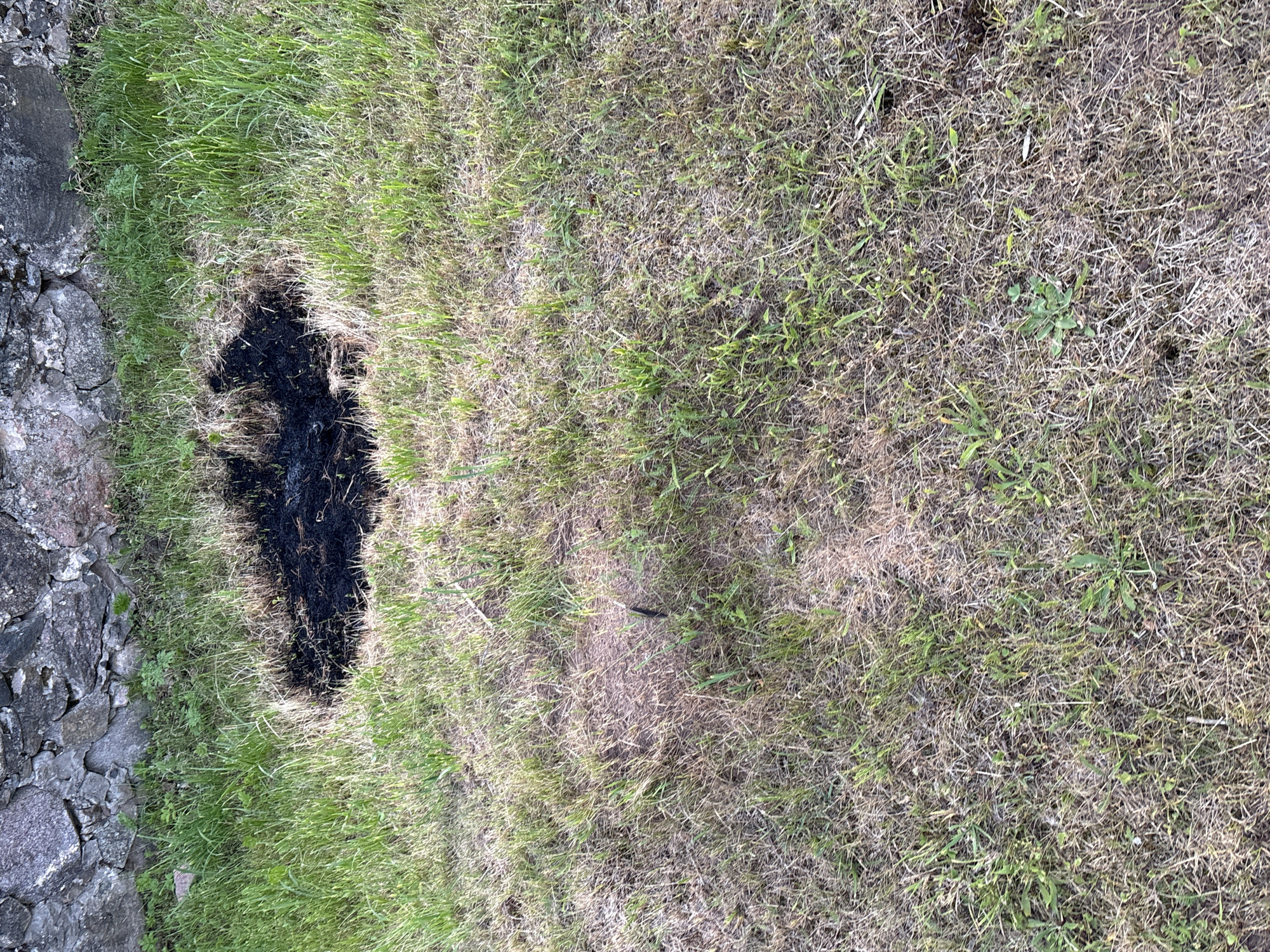 The image shows a patch of scorched earth surrounded by green and dry grass. Behind the grass is a rough stone wall. The scene appears to be outdoors, in a rural or undeveloped area. No people or animals are visible in the image. The ground is uneven, with some bare soil and a few scattered stones. The scorched patch is roughly circular and appears to be the result of a fire.