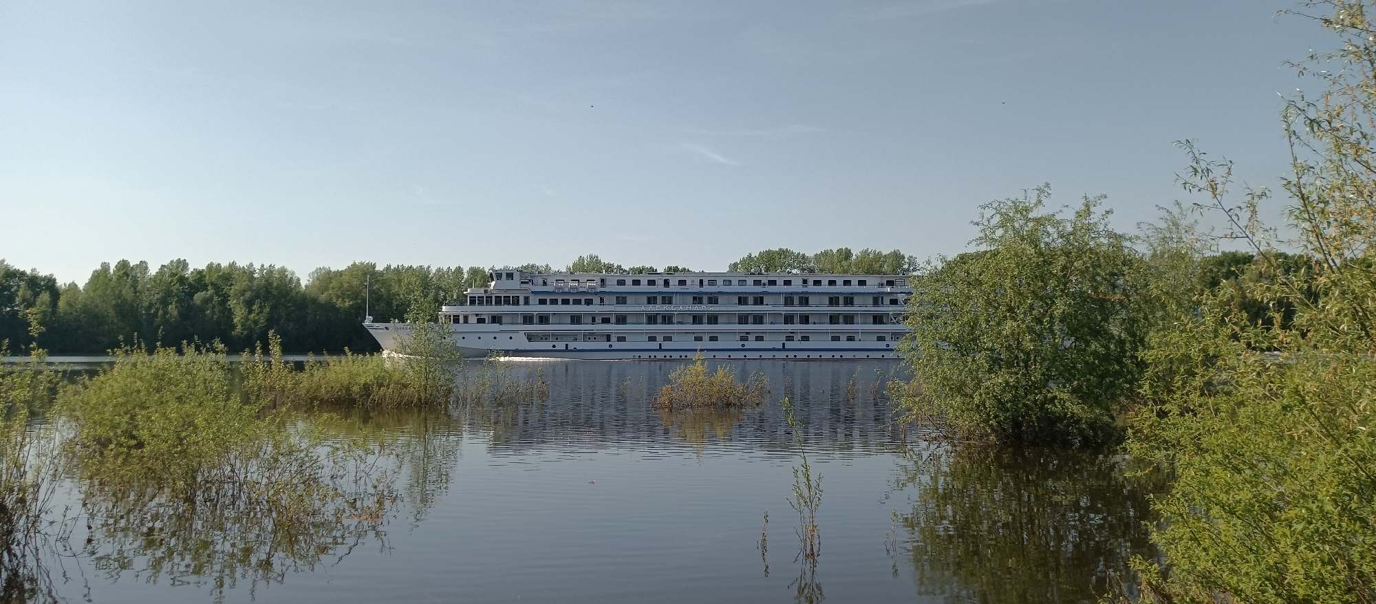 A medium-shot photograph captures a four-deck river passenger boat navigating through a body of water, likely a wide river or lake. The boat, predominantly white with horizontal blue accent lines, is positioned in the middle ground, its name "ALEKSANDR" partially visible in Cyrillic script on its side.
The foreground presents a flooded landscape with shrubs and small trees partially submerged in the water, their reflections visible on the water's surface. The background reveals a distant shoreline lined with lush green trees, suggesting a park or forested area. The sky above is clear and pale blue, indicating a bright, sunny day. The scene suggests a calm, natural environment, possibly a river or lake in a city park or natural preserve. The location and city are not known.