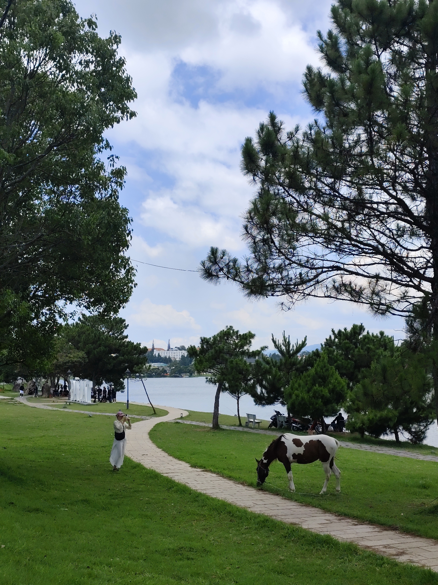 Captured in the city of Da Lat, Vietnam, the image presents a tranquil park scene. A woman stands on the grassy expanse, holding a camera and oriented toward the distance. A horse, colored in brown and white patches, grazes on the grass adjacent to a stone pathway. This pathway curves through the park, leading toward the horizon. In the background, a body of water reflects the sky, with buildings visible along the distant shoreline. To the left and right of the frame, foliage from various trees surrounds the scene, adding depth and framing the central elements. The sky above is partly cloudy, lending a bright yet soft light to the entire composition.