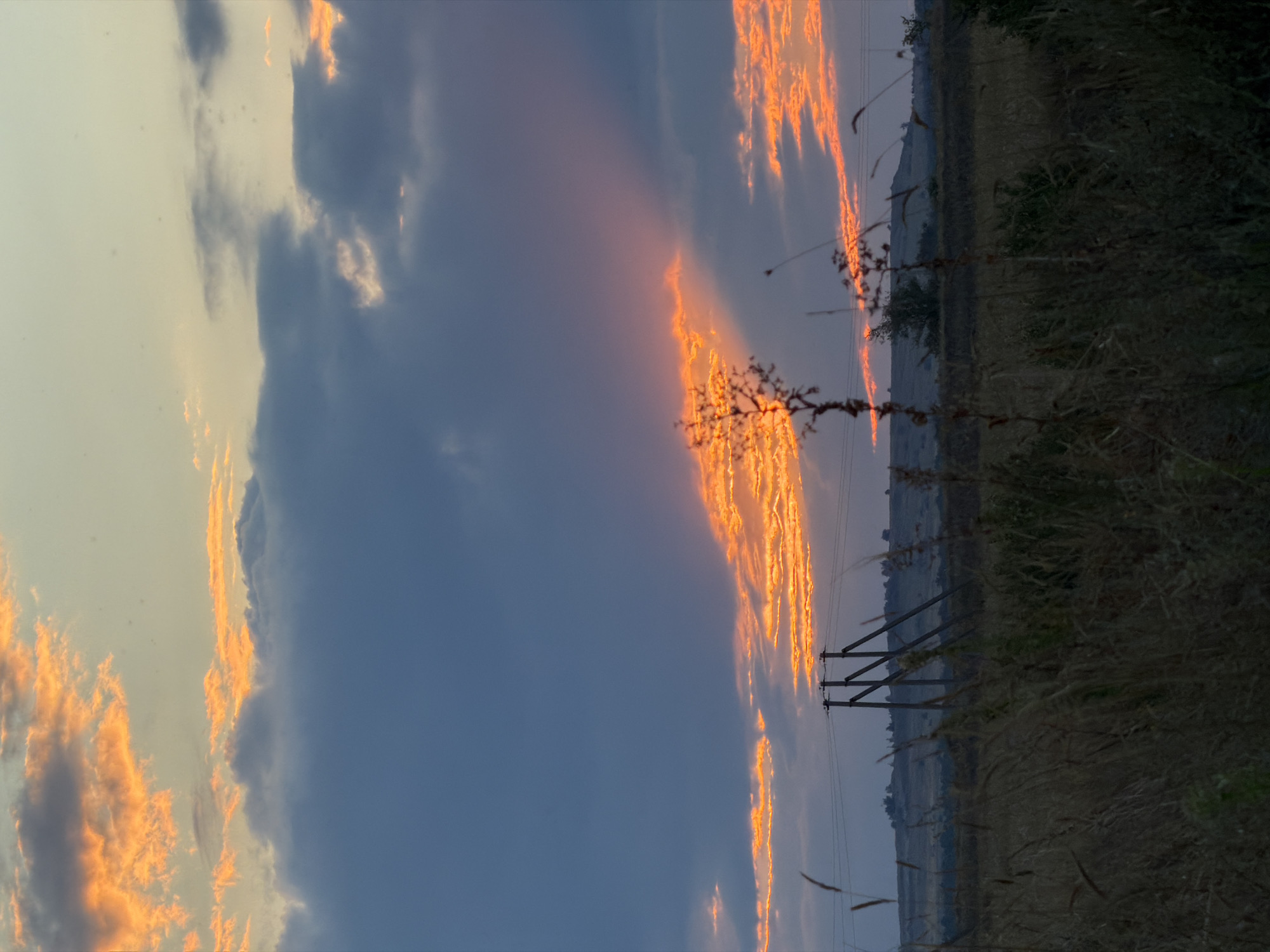 A vertical, medium shot captures a dramatic sunset over a rural landscape in Nizhnyaya Lipovka, Russia. The sky is a striking display of color, with dark, brooding clouds contrasting against vibrant streaks of orange and yellow light. Sunbeams pierce through the clouds, creating a dramatic effect. In the foreground, dry grass and a slender, silhouetted plant are in focus, while a distant hill is dotted with trees and a solitary utility pole with power lines. The overall scene evokes a sense of natural beauty and a peaceful, yet somewhat somber, atmosphere.