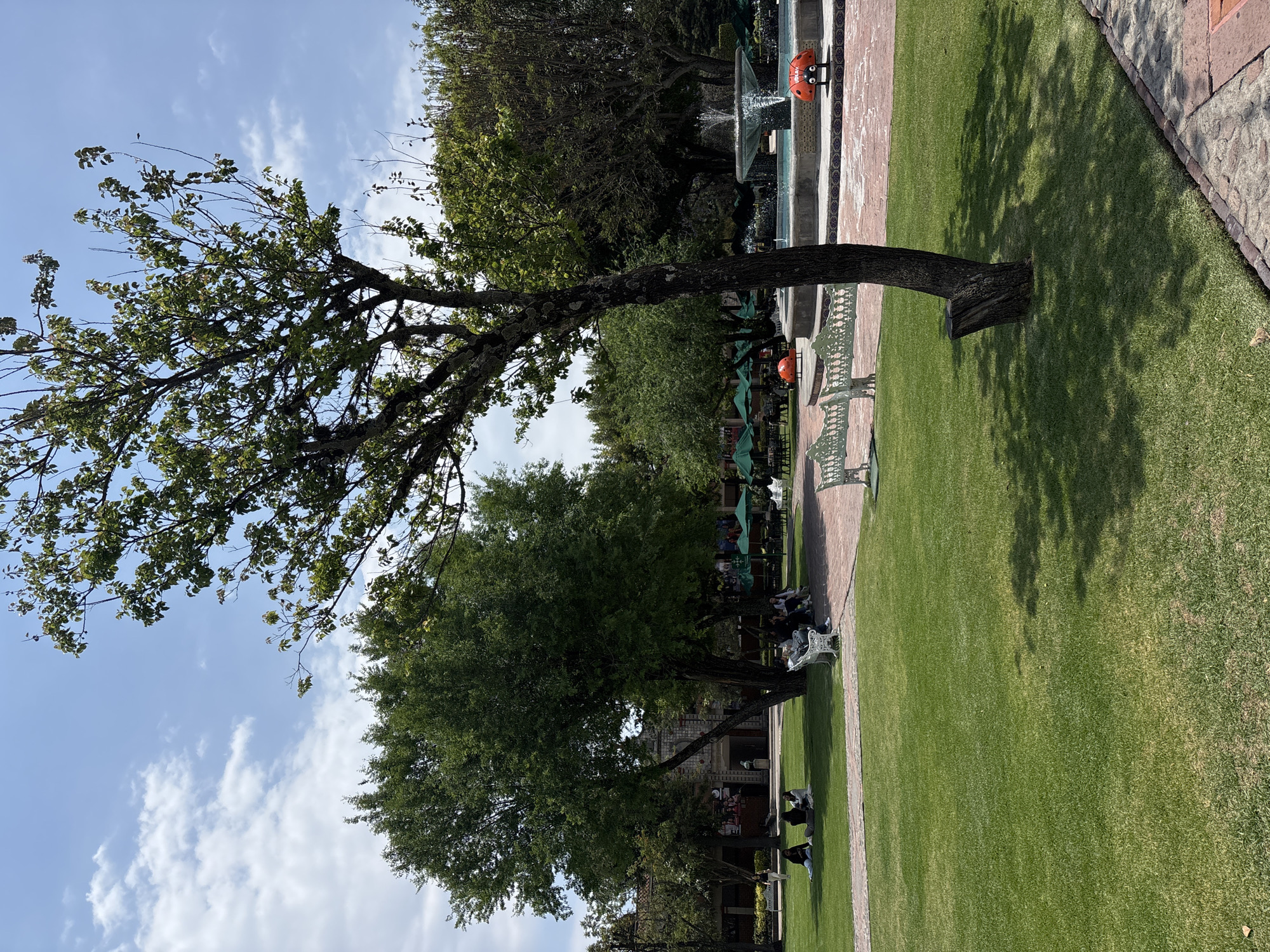 The image depicts a park scene in San Andrés Cholula, Mexico, under a blue sky with scattered clouds. A large, leaning tree dominates the left side of the frame. Along a pathway traversing the right side of the image, there are benches and people are seated. A fountain is visible in the background, with decorative ladybug figures adorning its structure. The park is well-maintained, featuring green grass and trees.