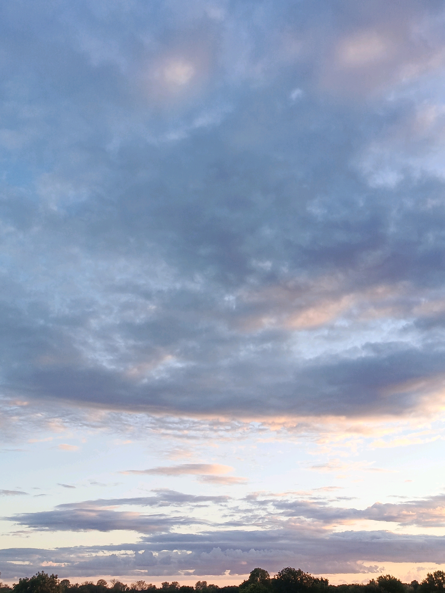 The image is a vertical, full-frame shot of a sky filled with clouds at dusk. The clouds are various shades of blue, gray, and white, with hints of pink and orange light from the setting sun visible through them. The lower portion of the image shows the dark silhouette of a tree line against the brighter sky. The location is Unknown, Unknown.