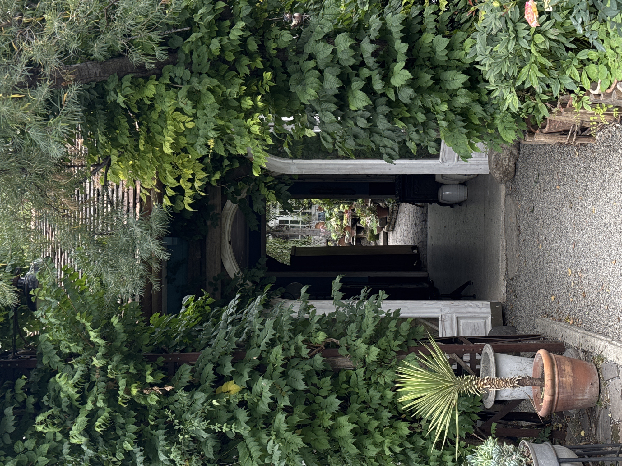 The image depicts a passage or entrance to a garden area in Tbilisi, Georgia. Lush green foliage, including vines and trees, heavily surrounds the entrance, creating a natural archway. Through the arch, a cobbled path is visible, leading further into a garden with numerous potted plants and what appears to be outdoor furniture. The entrance itself features white double doors, one of which is slightly ajar, revealing more of the garden beyond. A small potted palm tree stands to the left of the entrance, and to the right, a cluster of green plants and a single rose are visible. The overall impression is one of a secluded, overgrown, and verdant outdoor space.
