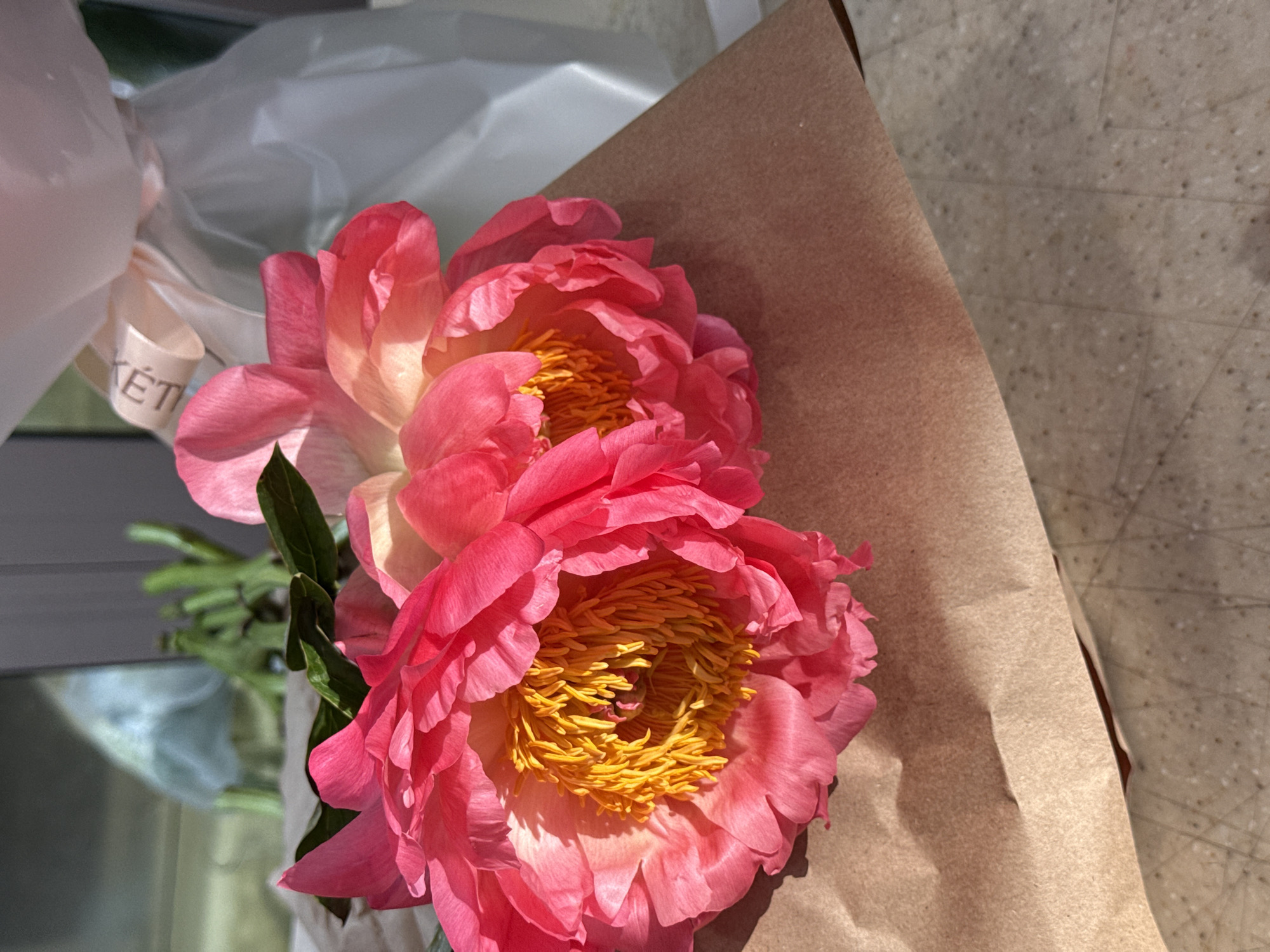 Two vibrant pink peonies, with bright yellow stamens, rest on brown paper. The flowers are large and fully bloomed, with delicate, ruffled petals. The background is blurred, but appears to be an indoor setting with soft lighting. The scene is peaceful and elegant.