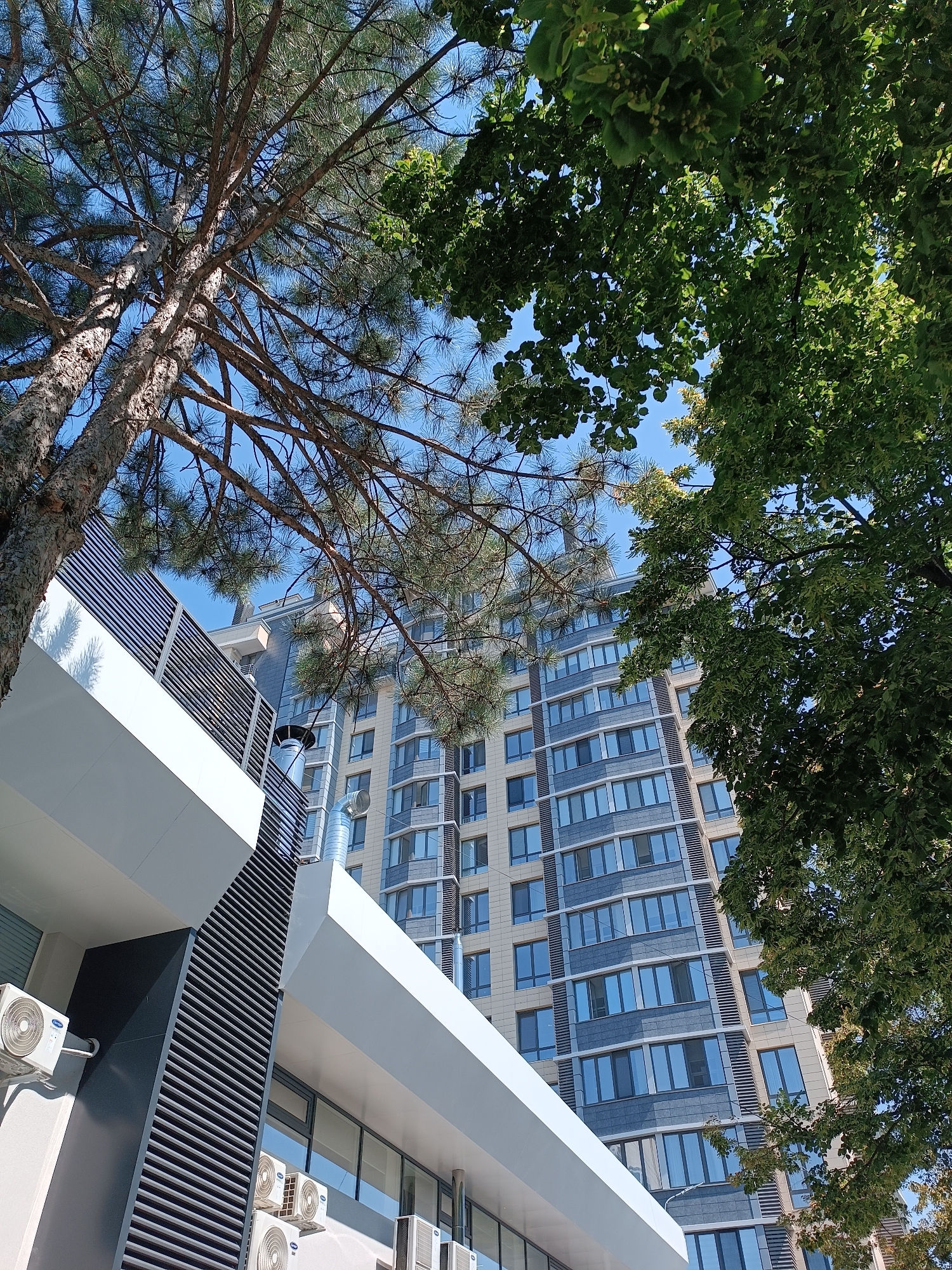 The image shows a contemporary apartment building in Chișinău, Moldova, partially obscured by trees. The building, with its beige and grey facade and numerous windows, appears to be relatively modern. In the foreground, a white and grey structure with horizontal louvers and external air conditioning units is visible. Pine needles and green leaves from adjacent trees frame the upper portion of the scene, with a clear blue sky above. No people are present.