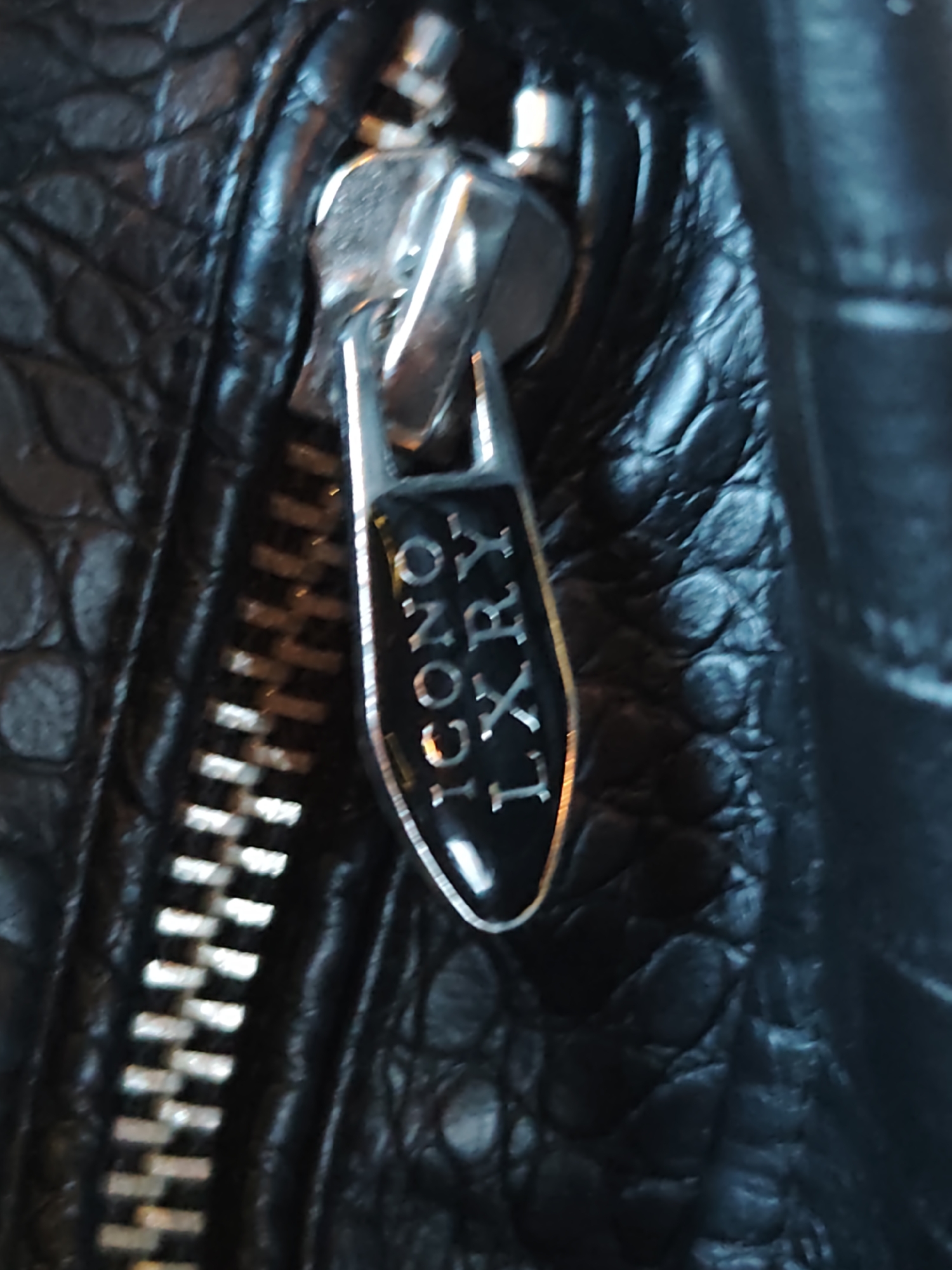 A close-up shot captures a metallic zipper and its puller against a dark, textured material, likely black leather with an embossed or simulated crocodile/alligator skin pattern. The zipper teeth are silver-toned and highly reflective, suggesting a metallic construction. The zipper puller, the central focus, is also silver-toned metal with a black-filled insert or enamel. Clearly visible on the puller, in silver lettering, is the brand name "ICONO LXRY". "ICONO" is positioned above "LXRY", both rendered in a modern, sans-serif typeface. The textured material features distinct, raised scales or bumps. The background is softly blurred, emphasizing the intricate details of the zipper and the material. No individuals are present, nor is any specific activity taking place. The lighting creates highlights on the metallic surfaces and contours of the textured material, but does not provide cues for time of day or weather. The image solely presents a detailed view of these object components, observed in Sofia, Bulgaria.