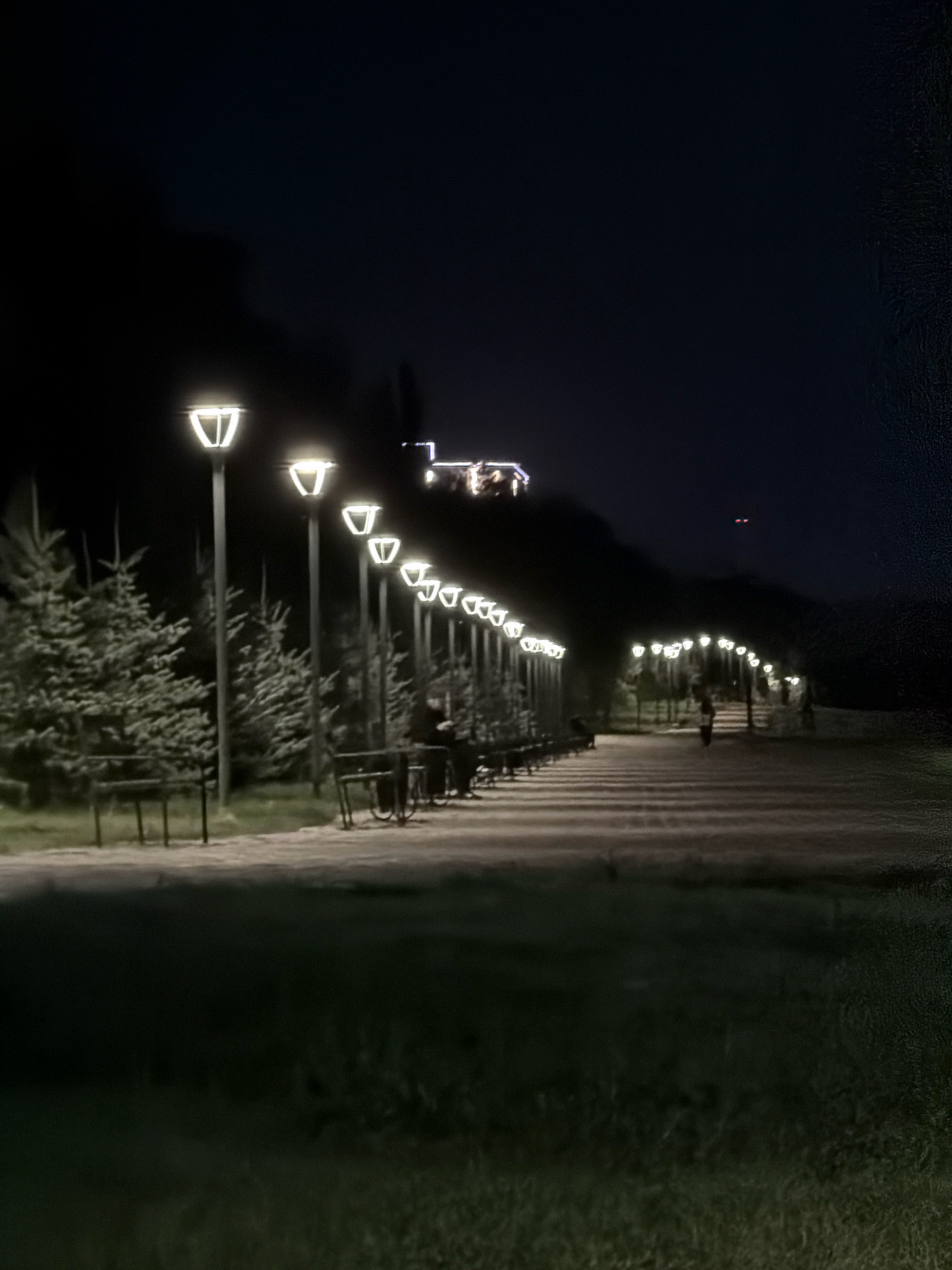 This image depicts a park pathway at night, illuminated by a row of modern lampposts. The pathway is paved and flanked by manicured evergreen trees on the left. Benches are visible along the path, and some bicycles are parked nearby. In the background, a dimly lit structure with illuminated elements can be seen, possibly a pavilion or a building. A person is walking away from the camera on the path in the distance. The sky is dark, indicating it is nighttime, and there are faint lights in the far distance, potentially from aircraft or other distant lights. The overall scene suggests a well-maintained public space designed for evening use. This pathway is located in the area of the Pavlodar Regional Museum of Arts in Pavlodar, Kazakhstan.