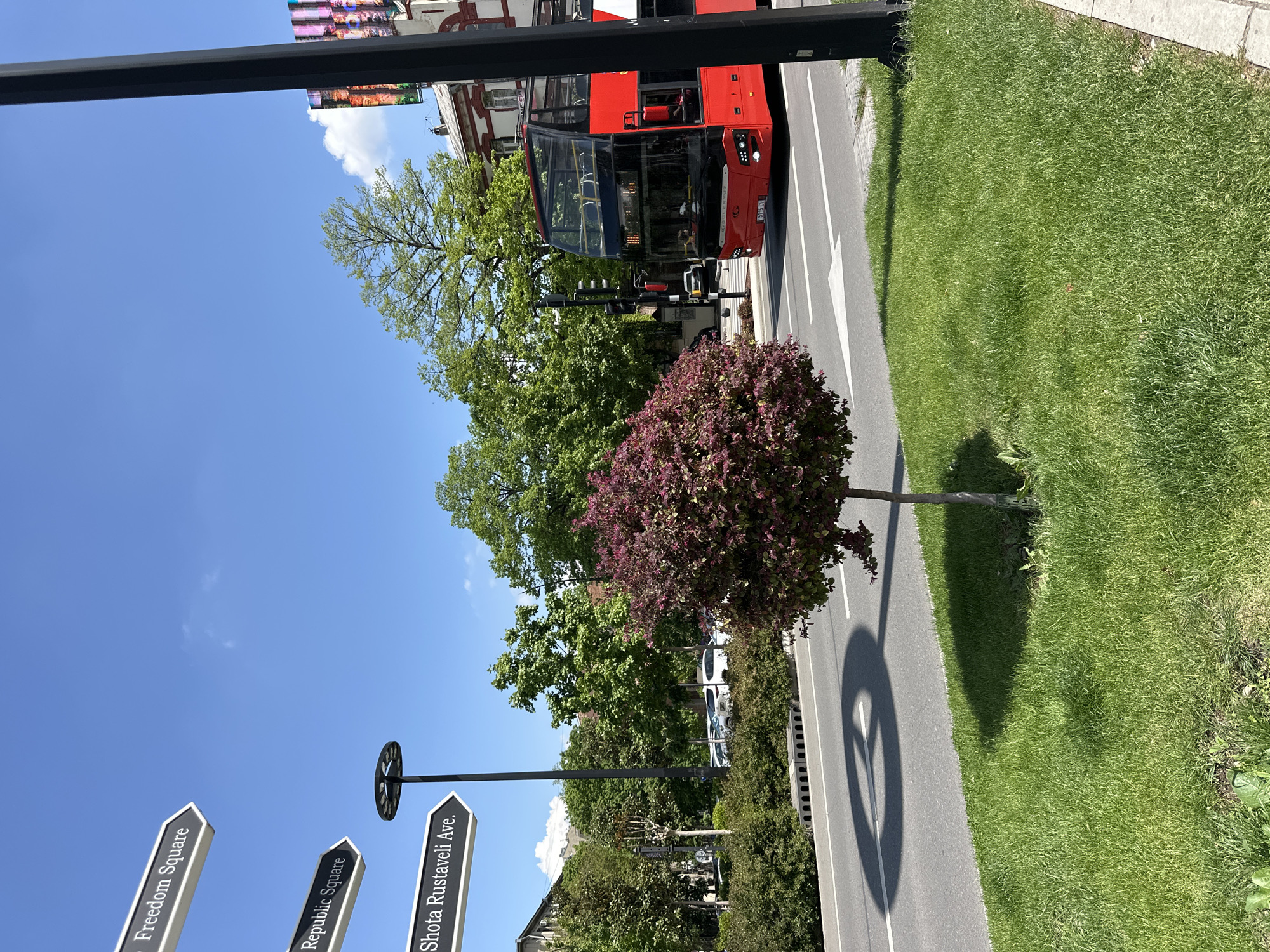 A daytime shot of a street in Tbilisi, Georgia, features a red double-decker bus traveling on the road. A young, rounded tree with purple foliage stands in the median. Signposts point towards "Freedom Square", "Republic Square", and "Shota Rustaveli Ave". The sky is blue with a few clouds. Green grass lines the roadside.