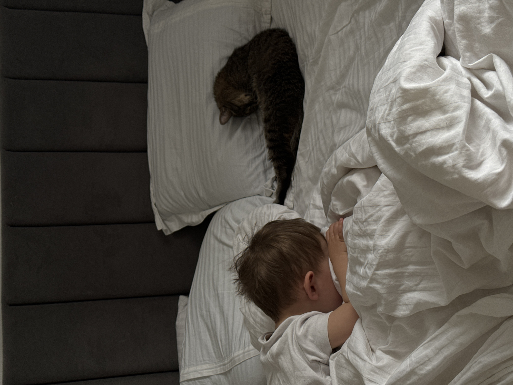 An overhead shot captures a peaceful moment of a young child and a cat sleeping together in a bed. A small child, likely a toddler, with light brown hair, is visible in the bottom right of the frame, tucked under white, subtly striped bedding. Only the back of their head, an ear, and a portion of their arm are seen, as their face is buried into the duvet. Above and to the left of the child, a tabby cat with brown and black stripes is curled up on a white pillow, also sound asleep with its head resting down. The bedding consists of white sheets and a duvet, appearing soft and slightly creased. On the far left of the frame, a dark gray headboard or wall paneling with horizontal lines is visible. The lighting is dim and soft, suggesting either nighttime or early morning. The scene evokes a sense of tranquility, domestic comfort, and the close bond between the child and the pet. No text is visible in the image.