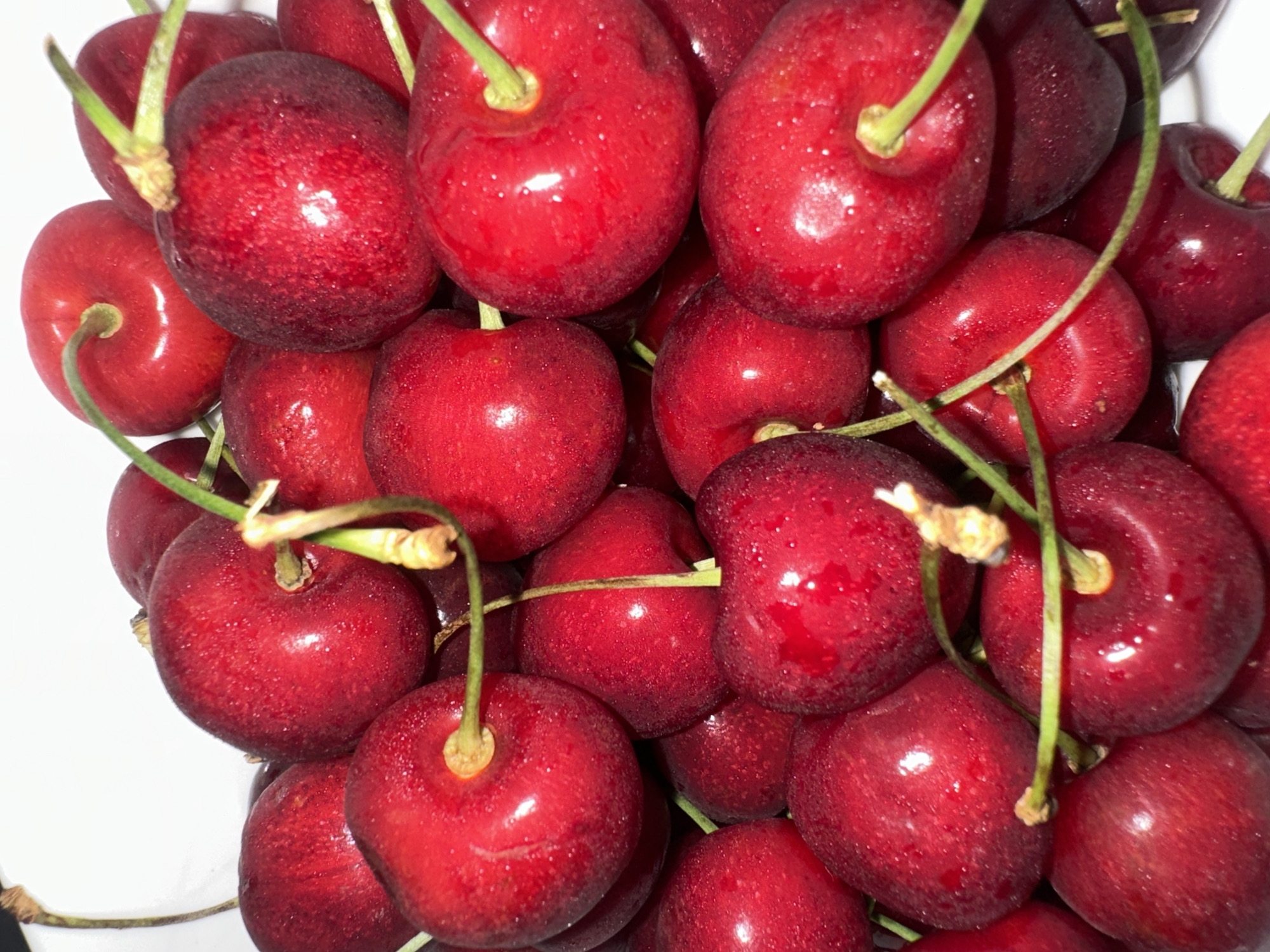 A close-up, overhead shot displays a pile of fresh, red cherries in a white bowl. The cherries are plump, glossy, and some have visible water droplets on their surface, suggesting they have been recently washed or are very ripe. The stems are green and thin, with some attached to the fruit and others detached. The background is a plain white surface, which helps to highlight the vibrant red color of the cherries. The lighting is bright, creating small highlights and reflections on the cherries. The image appears to have been taken indoors, possibly in a kitchen or a studio setting. There are no people or animals present in the image. The specific location in Günzburg, Germany cannot be determined from the image alone; it depicts a common household object.