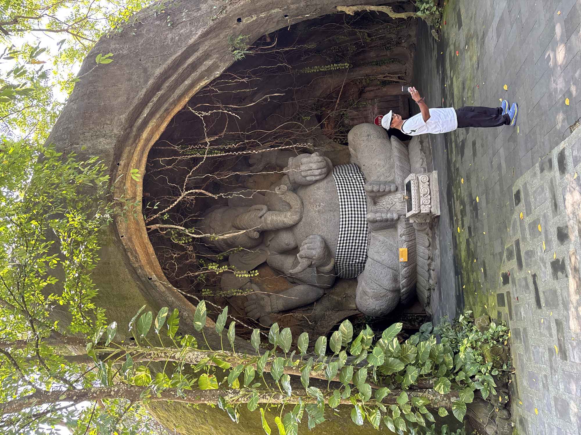 A man stands on a paved courtyard in front of a large stone statue of Ganesha, a Hindu deity with an elephant head, located in a cave-like structure overgrown with vines and trees. The man, wearing a white t-shirt, dark pants, a white cap, and blue shoes, is holding a mobile phone and appears to be taking a picture or recording a video of himself or the statue. The statue is seated on a pedestal, adorned with a black and white checkered cloth around its waist. The surrounding environment suggests a tropical or sub-tropical climate, with lush green foliage and sunlight filtering through the trees. The paved courtyard is made of grey stone tiles, and fallen yellow leaves are scattered across the ground. The cave entrance is arched and the interior is dark and textured, with hanging roots creating a natural curtain. A wooden door and a "STOP" sign are visible in the background. The overall scene evokes a sense of a cultural and religious site, possibly a temple or a park. The location is identified as the Goa Gajah (Elephant Cave) in Blahbatuh, Gianyar, Bali, Indonesia, a well-known archeological site.