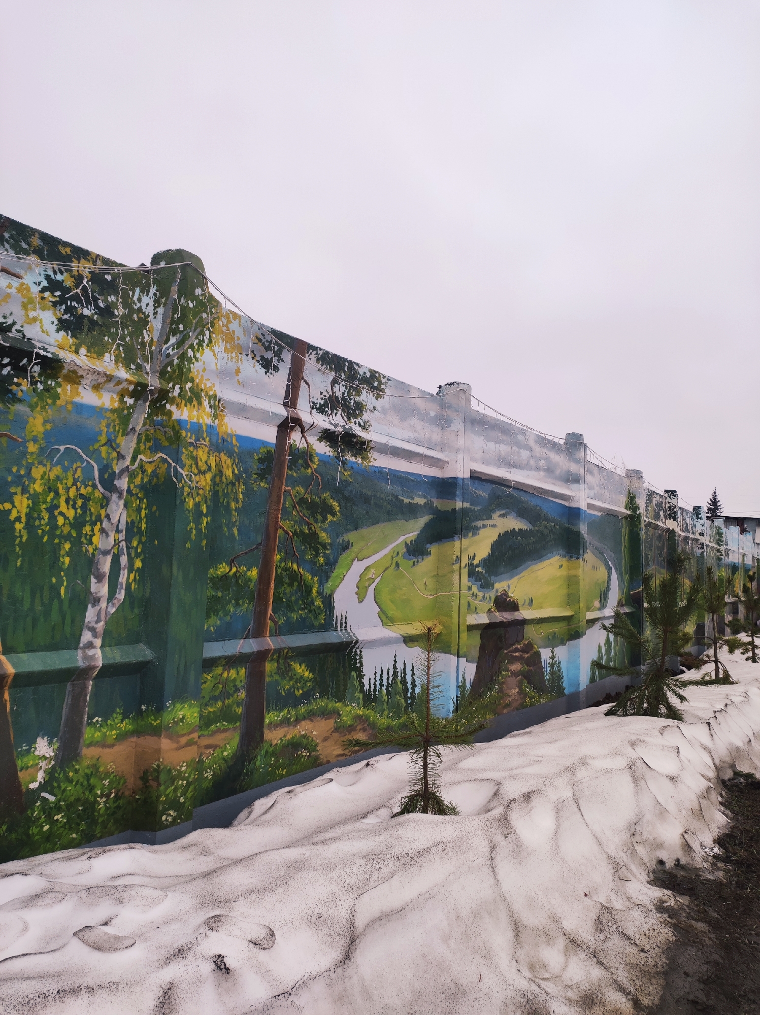 A low-angle, long-shot captures a painted mural on a concrete wall against a pale, overcast sky. The mural depicts a serene landscape with a winding river cutting through a verdant valley, framed by trees on either side. In the foreground, a birch tree with golden leaves stands alongside a taller, brown-trunked tree. Patches of snow dot the ground, with several small pine saplings planted in the foreground. The wall stretches into the distance, the mural continuing along its length. The overall scene is peaceful, contrasting the man-made structure with natural imagery. Location: Unknown, Unknown.