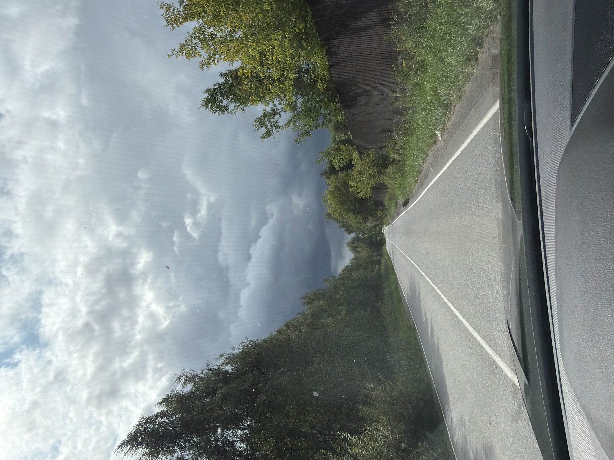 A cloudy day, possibly leading to rain, is depicted from the perspective of someone inside a vehicle on a paved road. The road has a white line marking the center and the edge. Dense green trees line both sides of the road, with a wooden fence visible on the right side. The sky is filled with dark, heavy clouds, suggesting impending inclement weather. The overall impression is one of a rural or suburban setting, possibly on the outskirts of a city like Imeni Vorovskogo, Russia, given the natural surroundings and the style of the road. There are no people or animals visible in the image.