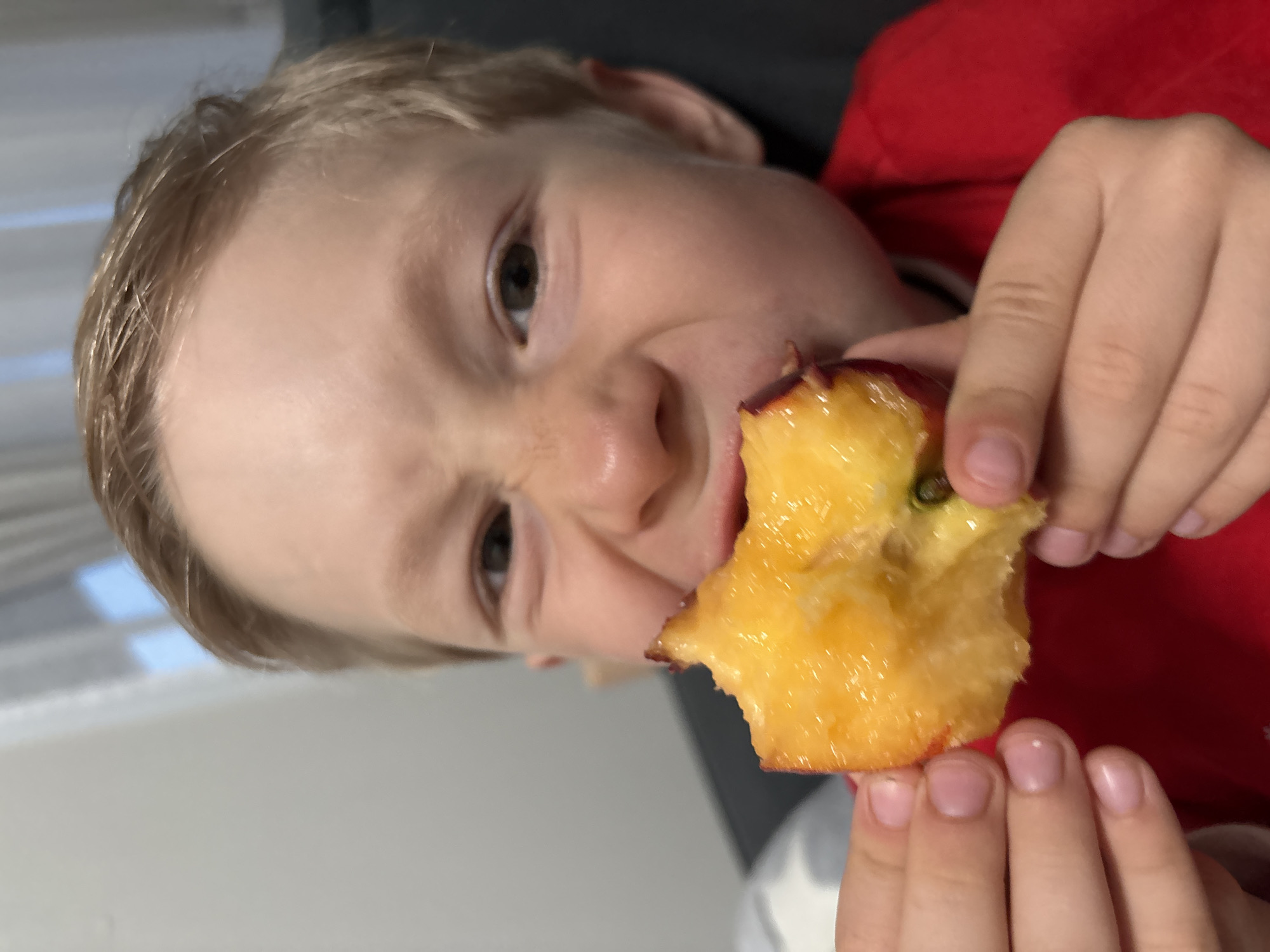 A fair-skinned child with blond hair is biting into a partially eaten peach. The child is wearing a red shirt. The background is a blurred gray and white, possibly a wall. The photo appears to have been taken indoors. There is no information to confirm that the photo was taken in Chaikovsky, Russia.