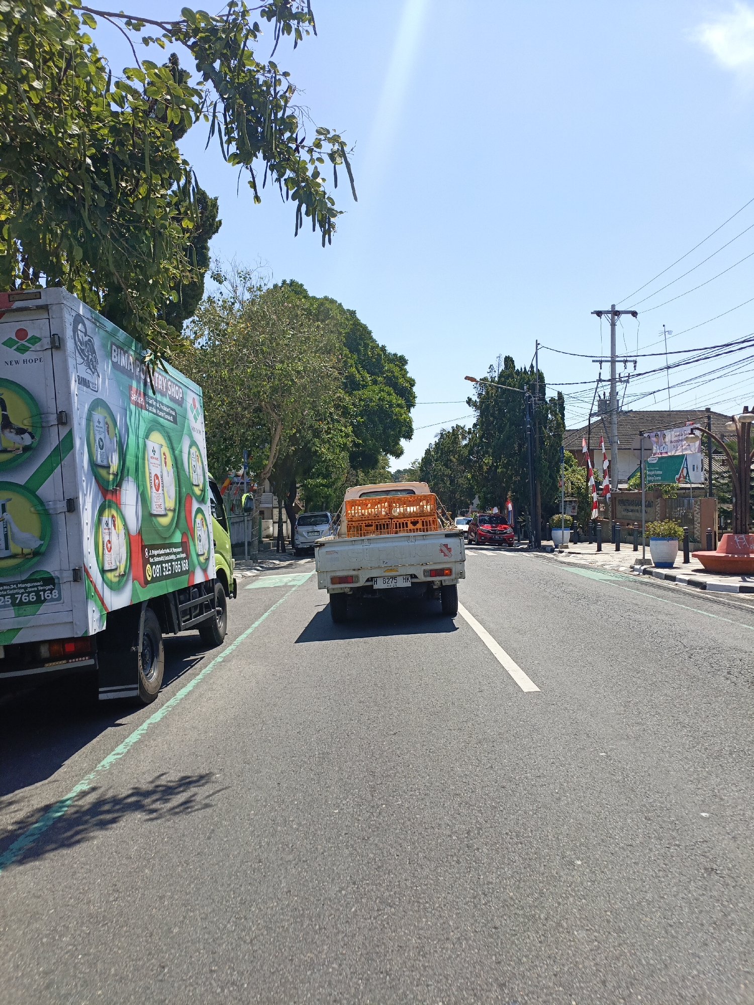 The image depicts a street scene in Salatiga, Indonesia, on a bright, sunny day. A white truck with green graphics advertising "NEW HOPE BIMA POULTRY SHOP" is parked on the left side of the road. The truck is decorated with images of geese and poultry feed bags, and features contact information such as a phone number. Adjacent to it, another truck, a smaller white pickup truck with an orange cage on its bed containing some items, is in motion, driving away from the viewer. Both trucks are on a paved road marked with a green lane line on the left and a white lane line on the right.
The environment includes lush green trees lining the sides of the road, with visible branches and foliage extending into the frame. In the background, utility poles with numerous wires are present, indicating an urban or suburban setting. A building with a tiled roof and several posters or signs is visible further down the street, adorned with red and white striped flags. The sky is clear and blue, with a slight lens flare from the sun. The overall scene captures a slice of daily life on a street in Salatiga, with commercial vehicles and the natural environment coexisting.