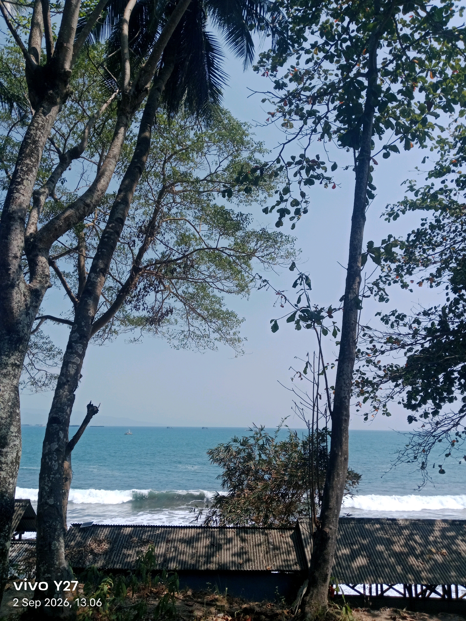 The image depicts a tropical beach scene in Palabuhanratu, Indonesia. In the foreground, several large trees with rough bark and dense foliage frame the view. Some of the trees are leaning, and their branches extend towards the sky. The leaves are a vibrant green, and some appear to be tinged with orange, suggesting a potential seasonal change or type of tree.
Beyond the trees, a corrugated metal roof of a structure is visible, casting shadows on the ground below. This structure appears to be a simple, open-air building, possibly a shelter or pavilion, with wooden supports.
The middle ground is dominated by the ocean. The water is a deep turquoise, with white waves crashing onto the shore. The waves are moderately sized, indicating a dynamic seascape. Several small boats or ships can be seen in the distance on the horizon, suggesting maritime activity. The sea stretches out to meet a pale, hazy sky, hinting at a bright, sunny day.
The bottom left corner of the image displays a watermark with "vivo Y27" and the date "2 Sep 2026, 13.06," indicating the device and time the photo was captured. The overall atmosphere is serene and natural, characteristic of a coastal landscape in a tropical region. There are no people visible in the frame.