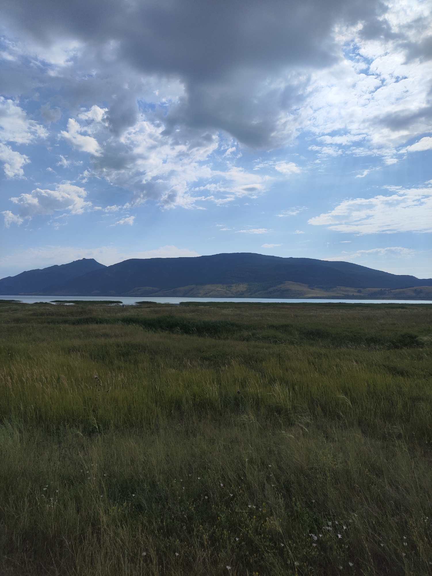 The image depicts a wide landscape scene under a cloudy sky. In the foreground, tall green grass sways, interspersed with smaller plants and occasional white wildflowers. Beyond the grassy field, a body of water, likely a lake or river, stretches across the middle ground. In the background, a large, dark mountain range dominates the horizon, its slopes covered in vegetation. The sky is a mix of blue patches and heavy grey clouds, with sunlight filtering through in some areas, creating a slightly dramatic effect. The scene appears to be a natural, undeveloped area, possibly on the outskirts of the city of Акылбай, Kazakhstan, given the vastness of the terrain and the mountainous backdrop. There are no people or animals visible in the frame.