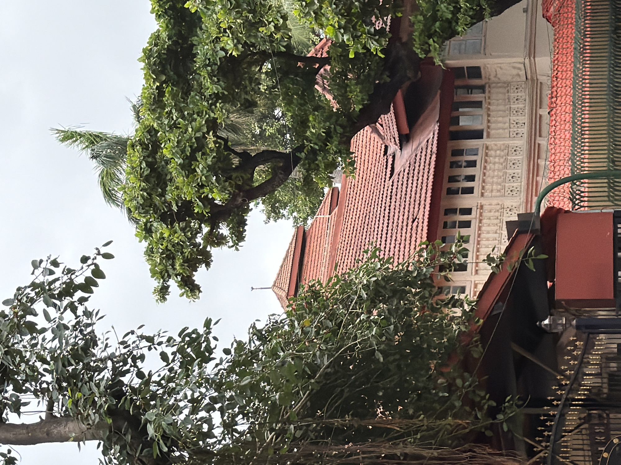 The image shows the facade of a building in Mumbai, India, with large trees in the foreground. The building has a red tiled roof and decorative, cream-colored balconies with intricate latticework. A wrought-iron fence with a golden finish is visible at the bottom of the image. The sky is overcast, suggesting a cloudy day. The overall impression is of an older, possibly colonial-style structure surrounded by lush greenery.