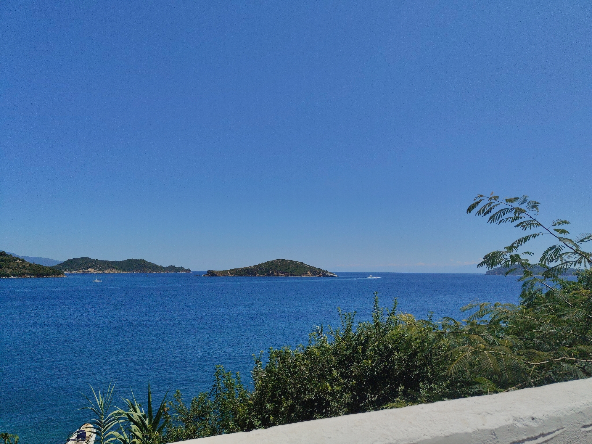 This image captures a serene coastal view of the Aegean Sea, likely from a vantage point overlooking the water in or near Skiathos, Greece. The vast expanse of the deep blue sea dominates the lower two-thirds of the frame, stretching towards a clear, bright blue sky. Several lush green islands with rolling hills are scattered across the horizon. A white sailboat is visible in the middle distance on the water, adding a touch of activity to the tranquil scene. In the foreground, a white concrete barrier runs across the bottom, partially obscuring a dense cluster of green foliage and a few palm-like plants. A partially submerged boat, with its hull visible, rests in the shallow water to the left. The overall impression is one of a peaceful summer day in a Mediterranean coastal town.