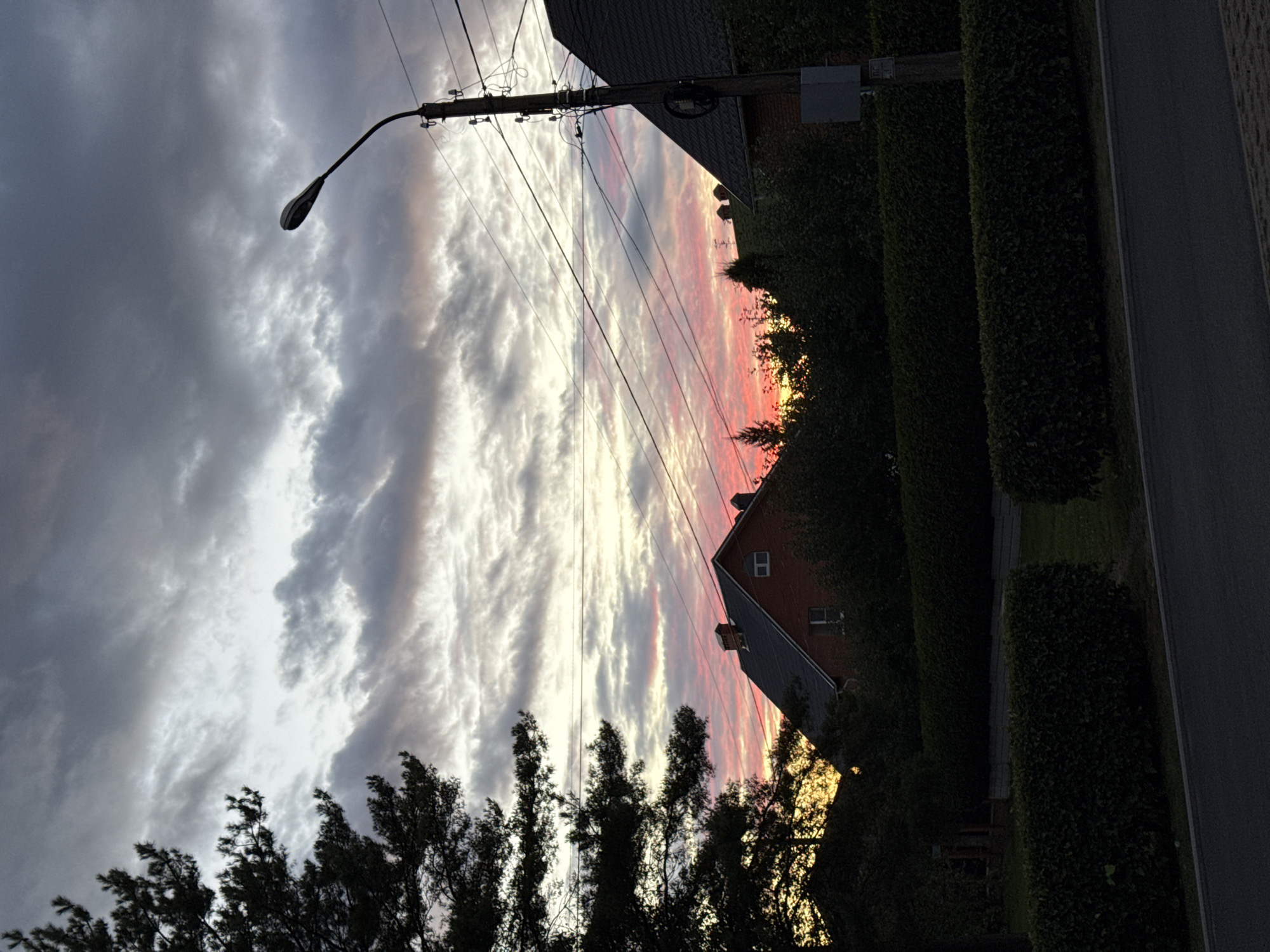 This is a medium-shot, eye-level, outdoor, natural light photograph taken at dusk in Zheleznogorsk, Russia. The image features a sky filled with dramatic clouds, exhibiting hues of gray, white, pink, and yellow, indicative of a sunset. In the foreground, a dark asphalt road is visible, bordered by neatly trimmed green hedges. Beyond the hedges, a brick house with a dark roof and chimneys stands partially obscured by dark trees and foliage. A street lamp with a dark metal pole and a visible light fixture is positioned on the right side of the image, with electrical wires running across the frame. To the left, the dark silhouette of a pine tree with dense branches dominates the upper left quadrant. The overall scene suggests a residential area at the edge of the city as day transitions into night.