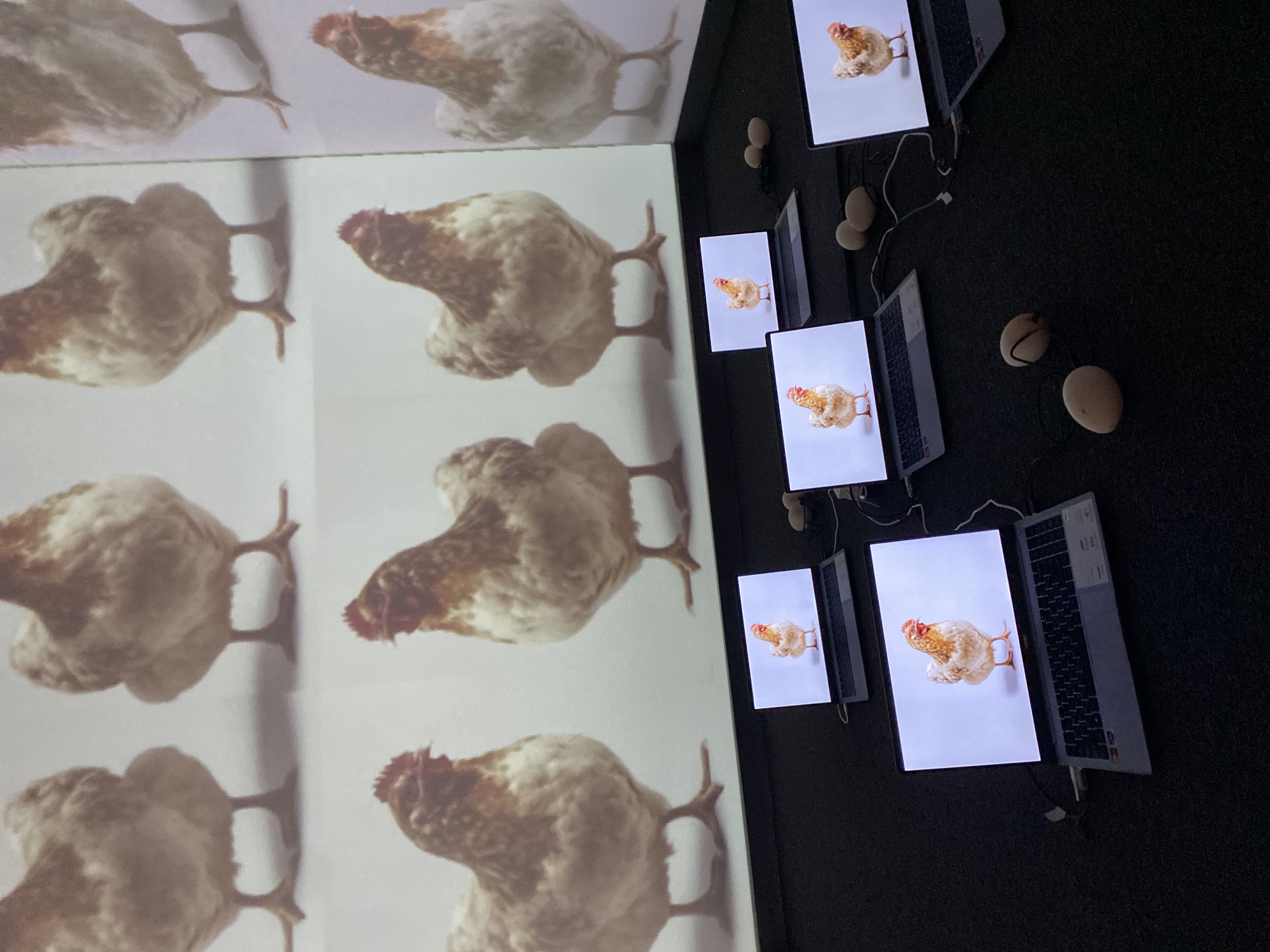 The image depicts an art installation, possibly in a gallery, with two distinct areas. On the left, a wall is covered with a repeating image of a chicken. On the right, several laptops are arranged on the floor, each displaying the same chicken image on their screens. Scattered around the laptops are a few eggs. The specific location in Yekaterinburg, Russia is unknown.