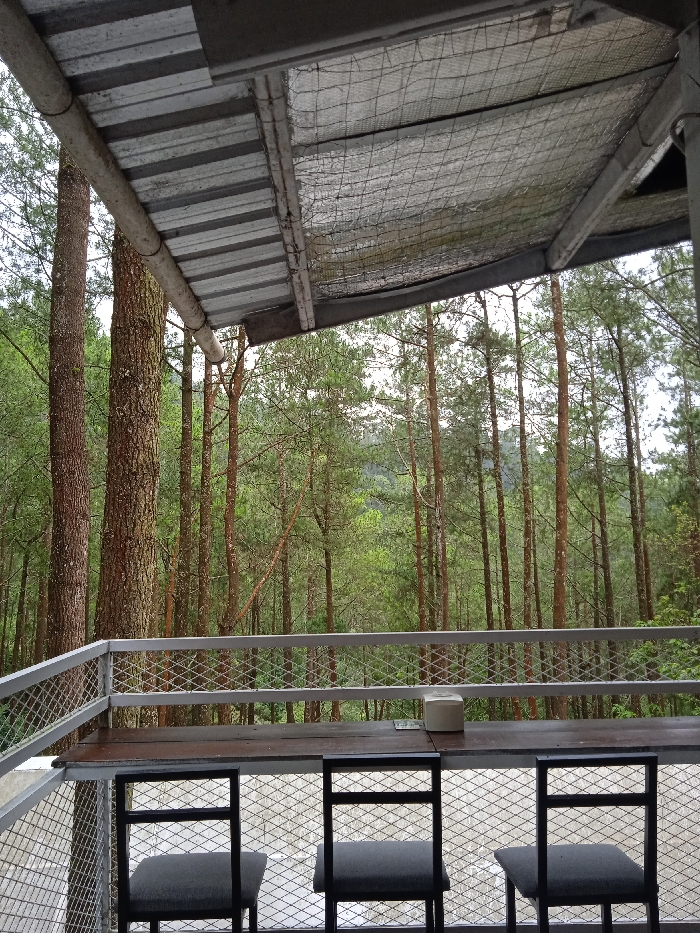 The image shows a wooden table with three metal chairs in front of a metal railing. The railing provides a view of a forest with a variety of pine trees. The table is wooden with a white square object resting on the table in the center. The chairs are black and have metal frames. The table and chairs appear to be part of a balcony overlooking the forested hillside. The location of this image is a wooded area outside of Plaosan, Indonesia. The coordinates provided are -7.669, 111.217.