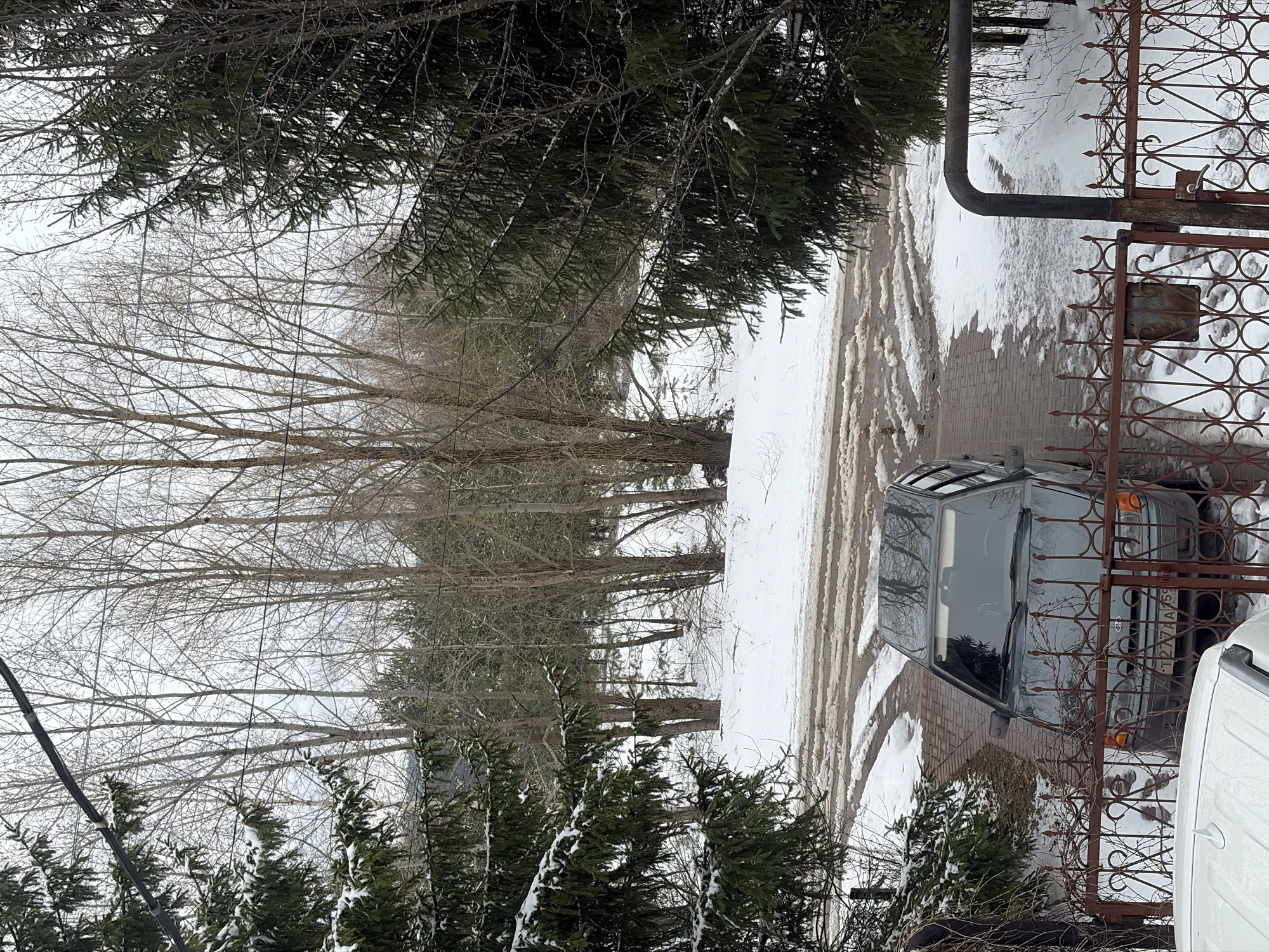 The image depicts a winter scene in Прикамский, Russia. A dark-colored car is parked on a brick-paved area covered with snow, adjacent to a metal gate. More snow is present on the ground and along the edges of the paved area. Bare trees line the left side of the frame. Evergreen trees are also visible, some with snow on their branches. A portion of a white vehicle is visible to the right of the dark-colored car.