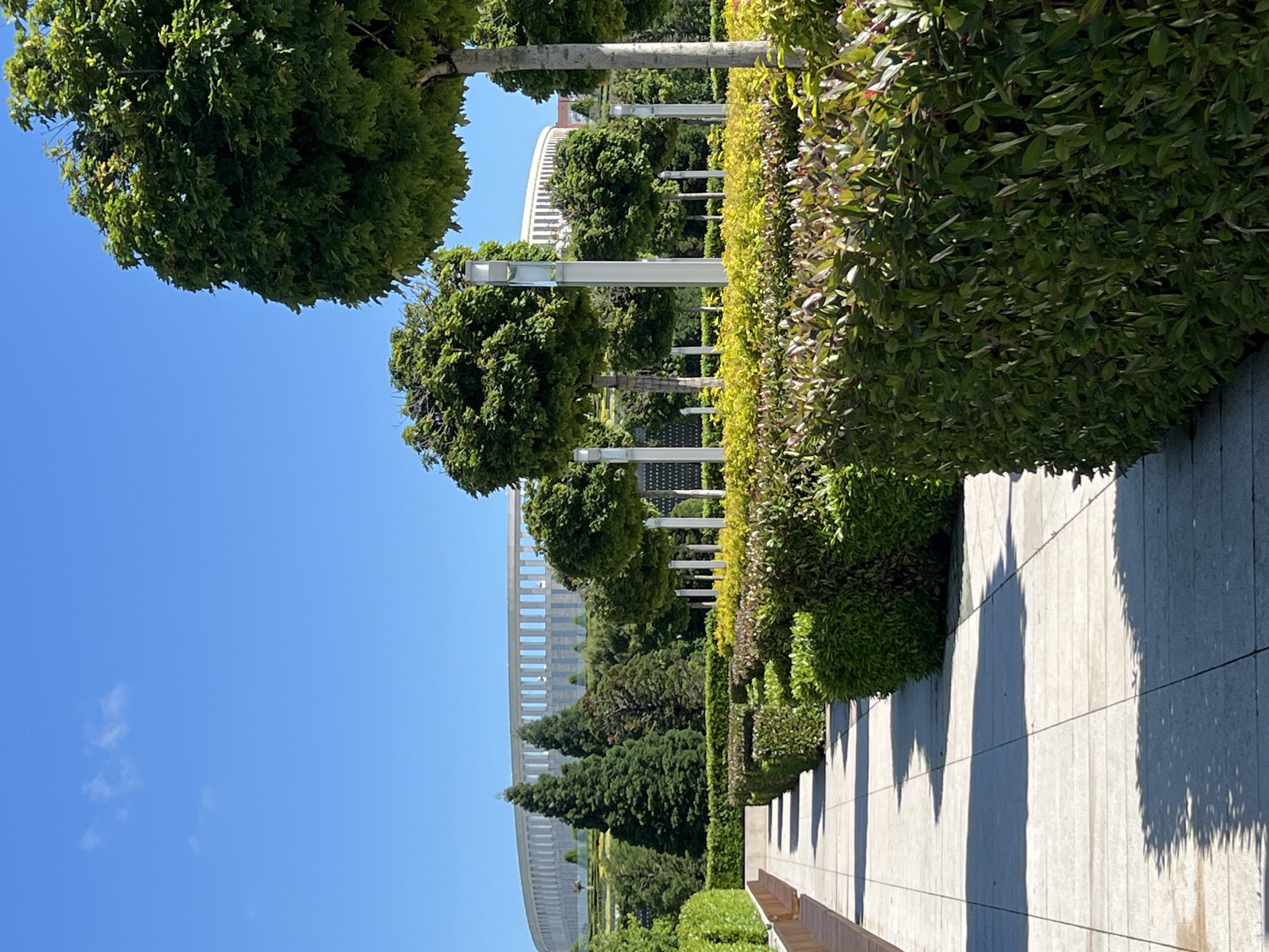 The image captures a meticulously landscaped park or garden under a clear, bright blue sky, characteristic of a sunny day, likely in Krasnodar, Russia. The scene is devoid of people, exuding a sense of tranquility and order.
A light-colored paved walkway, possibly made of concrete or stone tiles, extends from the foreground into the distance on the right side of the frame. It is bordered by a well-maintained hedge, dense with green foliage, which exhibits variations in color from deep green to lighter, yellowish-green sections. Further to the right, a wooden bench is partially visible along the path.
To the left of the walkway, the park features a series of evenly spaced trees with full, rounded green canopies, under a sunny sky with only a few wispy clouds. These trees are interspersed with tall, slender, white architectural pillars or posts, creating a structured aesthetic. Beyond these, a dense cluster of darker green, conical evergreen trees adds depth to the landscape.
In the background, a prominent, large, modern white building or structure with a distinct curved shape and a patterned facade rises above the trees. Strong, elongated shadows from the trees and architectural features are cast across the paved surfaces and a vertical wall, indicating the time of day is likely midday or early afternoon. No visible text is present in the image.