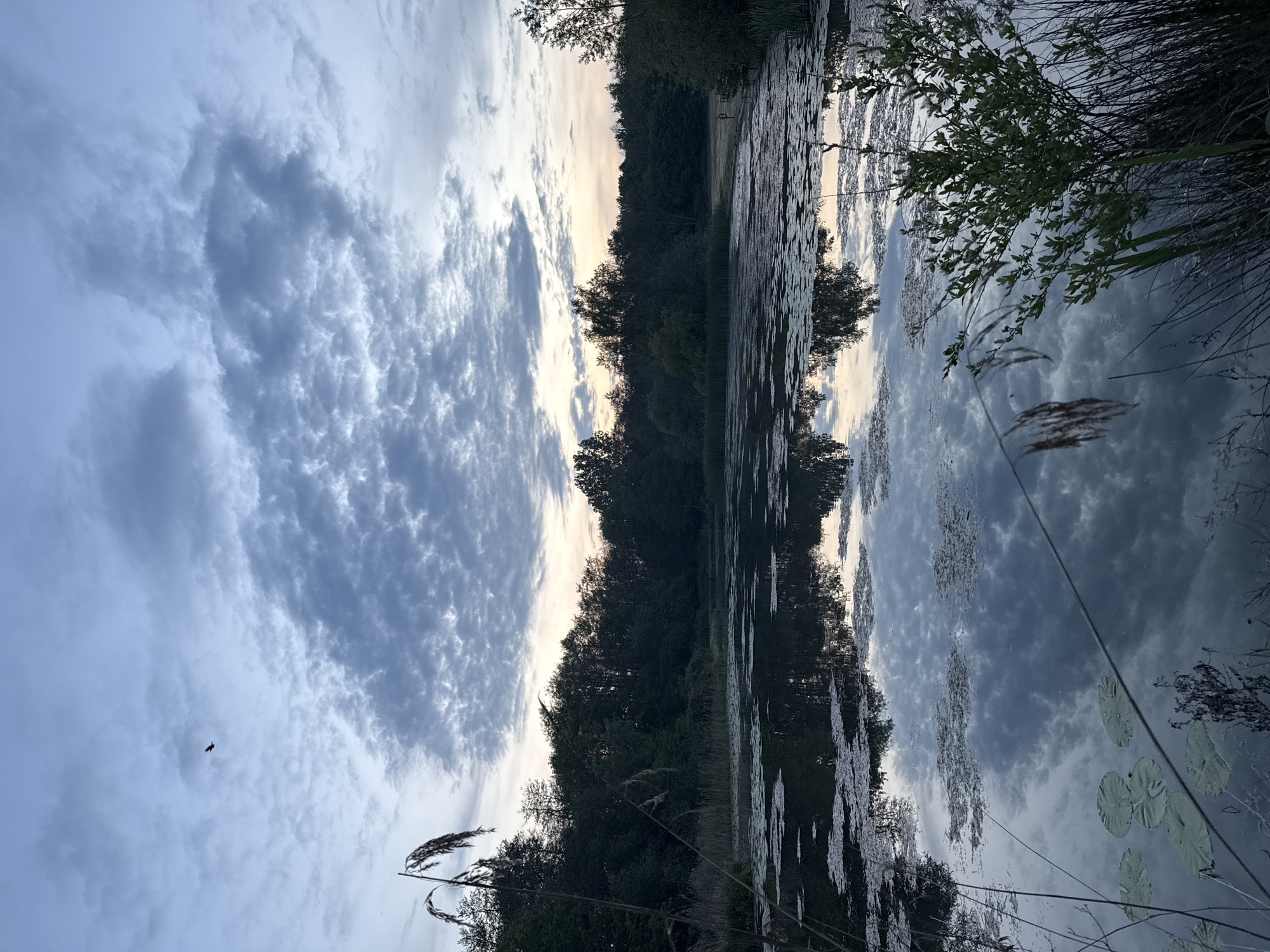 The image depicts a still body of water reflecting the sky, trees, and surrounding vegetation. The sky is filled with grey clouds, some forming a distinct shape. Trees line the edge of the water, reflected in the water. Lily pads float on the water's surface. Some reeds are visible in the foreground. A small bird flies in the sky. The scene is likely located in East Suffolk, United Kingdom, given the prompt.
