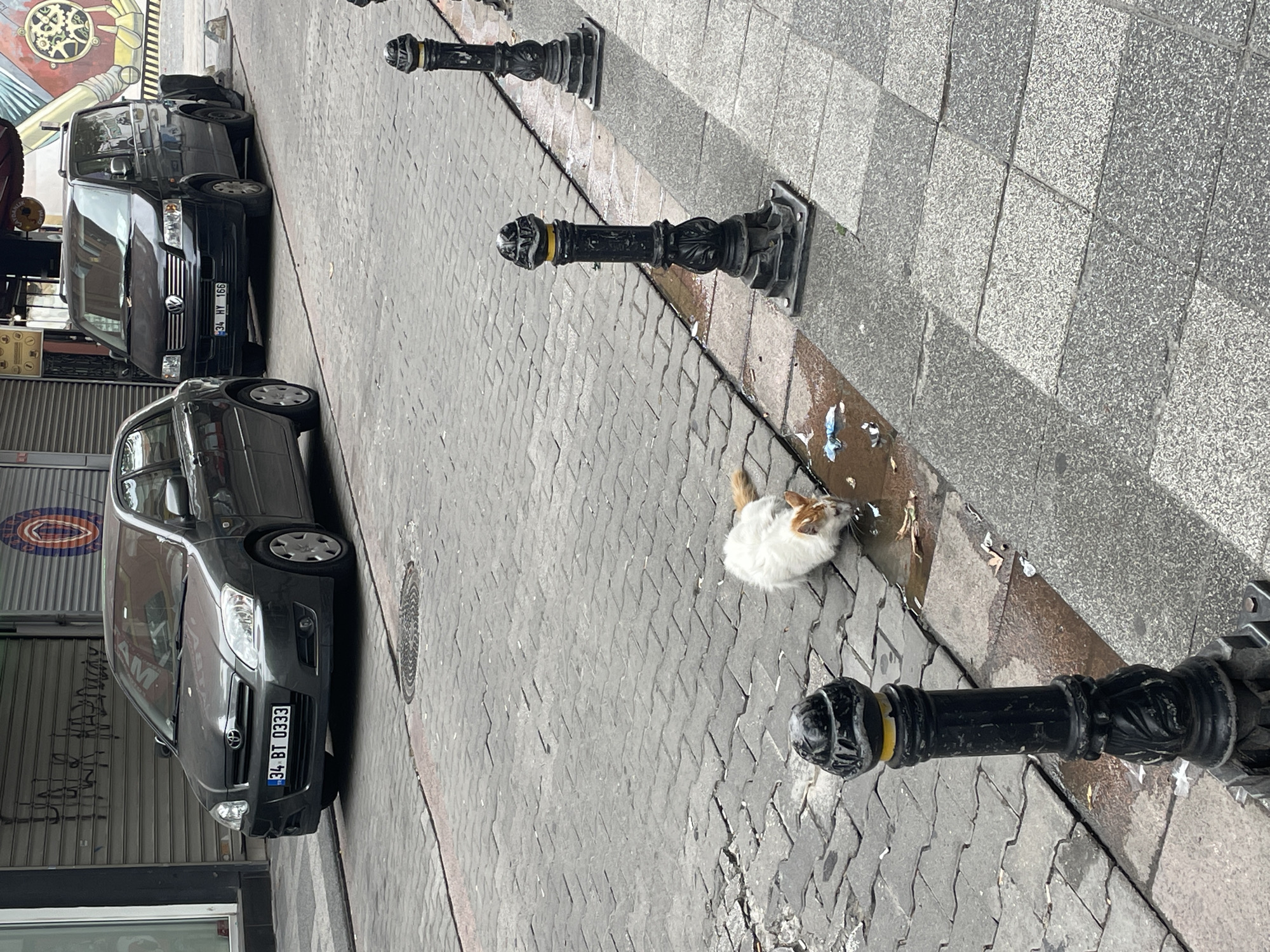 A stray cat is drinking from a puddle of water on a cobblestone sidewalk in Kadıköy, Turkey. The cat is white with orange markings and is positioned in the lower center of the frame. To the left, a dark gray sedan is parked on the street. To the right of the sedan, a black minivan is also parked. Decorative black bollards line the sidewalk. In the background, shopfronts with metal grates are visible. The scene appears to be a street in a commercial or residential area.