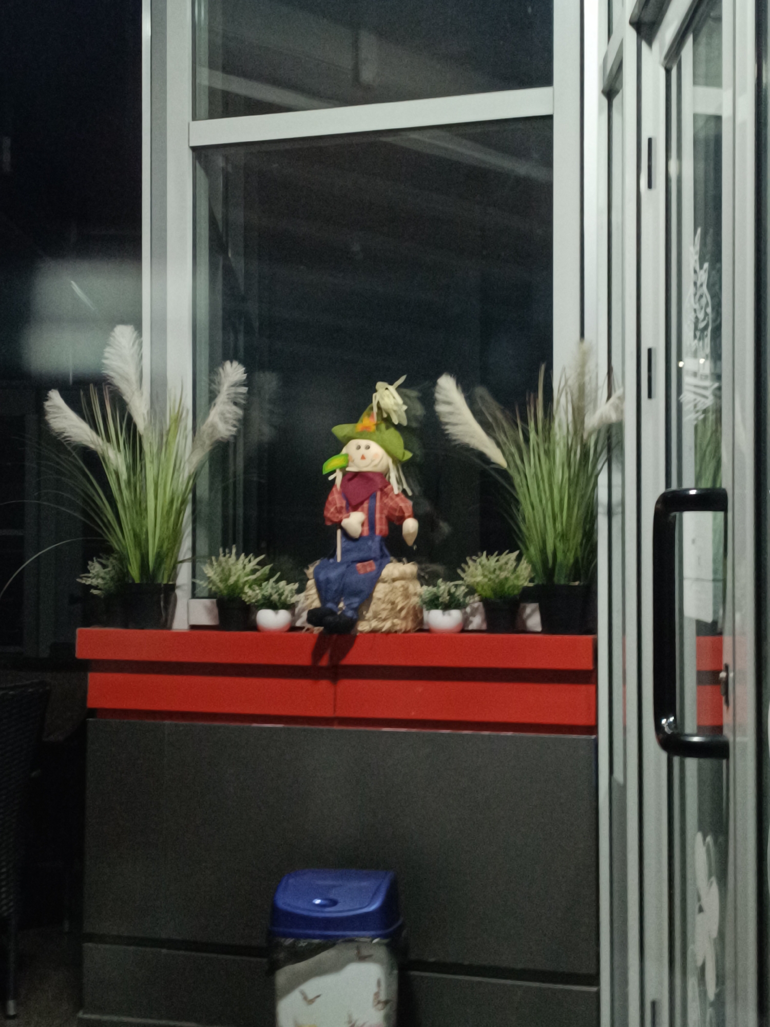 The image shows a window display with several potted plants and a scarecrow doll sitting on top of a red and black ledge. The ledge is in front of a window, and a blue plastic trash can sits below the ledge. The location is Unknown, Unknown. The focus is on the interior decoration, with no visible people or specific actions taking place.