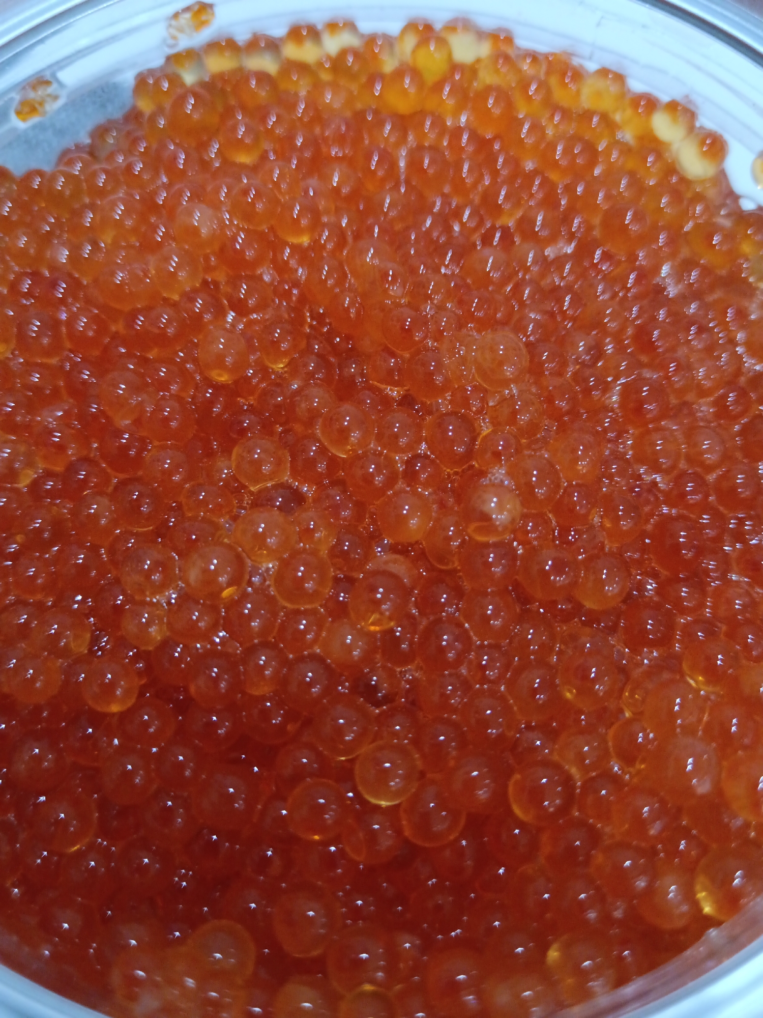 A top-down, close-up shot displays a container filled with red caviar. The individual eggs are small, translucent, and round, with a bright orange-red hue. The surface of the caviar is slightly uneven, with some eggs appearing to be more liquid or gelatinous than others, indicating a fresh product. The container itself appears to be made of clear plastic, with a slightly blurred white rim visible at the top and bottom edges of the image. The lighting highlights the shiny, reflective quality of the caviar, creating small white glints on the surface of each egg. There are no people or specific environmental details related to Sorochinsk, Russia, visible in this image. The focus is solely on the texture, color, and volume of the caviar.