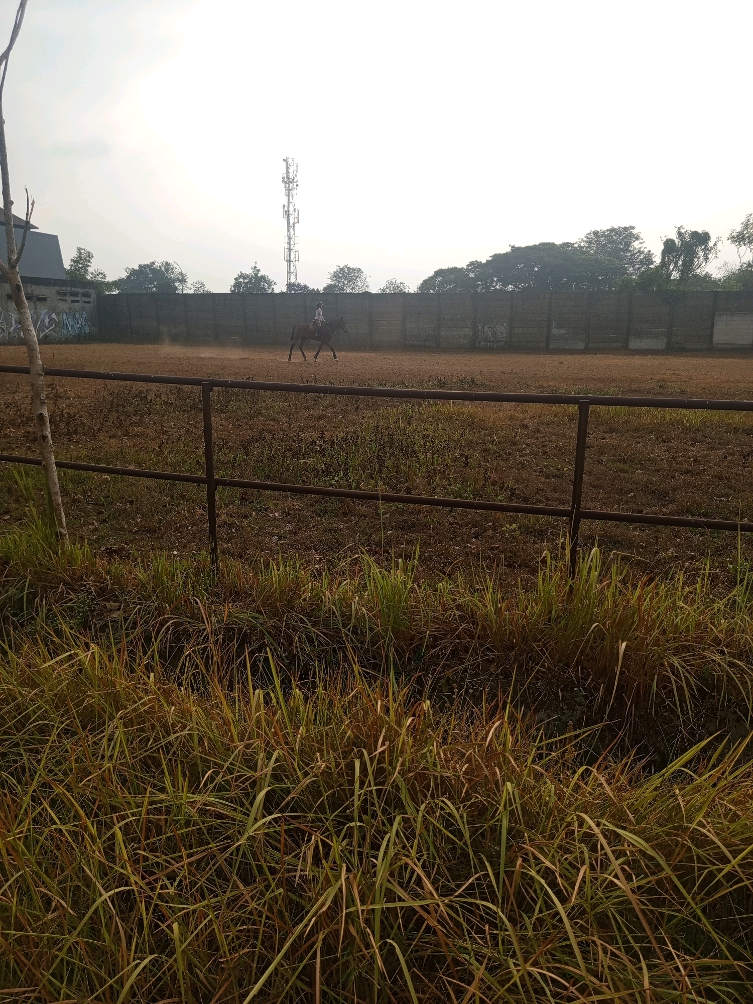 In an outdoor horse training arena in West Jakarta, Indonesia, a person rides a brown horse. The arena is enclosed by a wooden fence. In the background, a cell tower stands tall against a bright, hazy sky, with trees and buildings visible. In the foreground, a rusty metal fence separates the arena from a patch of tall, dry grass. The ground of the arena is covered in a light brown soil. The image captures a moment of equestrian activity in a semi-urban environment.