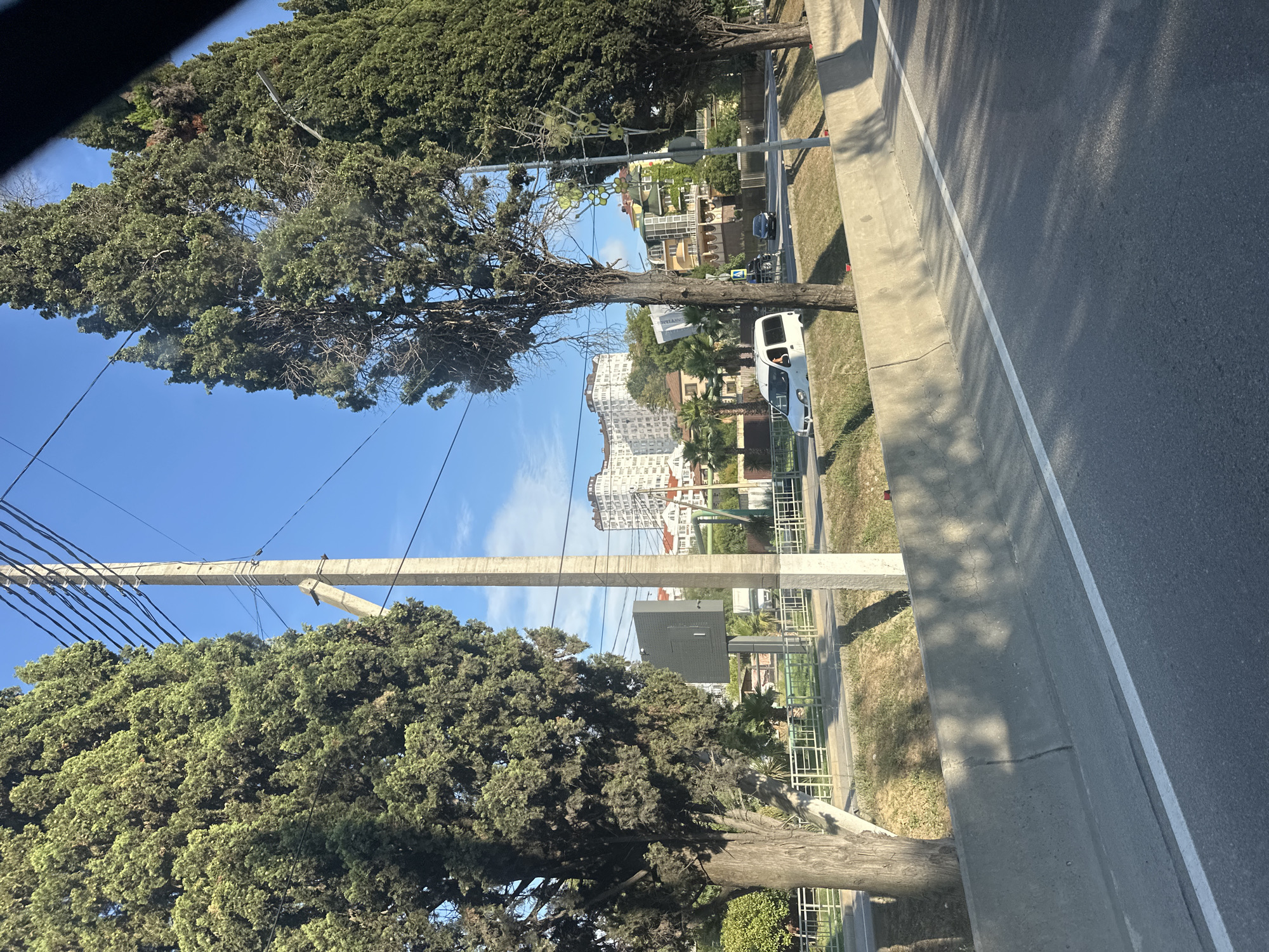 The image captures a street scene in Sochi, Russia, on a clear, sunny day. The foreground shows a concrete barrier and a gray asphalt road with a white lane marker. Beyond the barrier, a grassy embankment is visible, dotted with shadows from trees. Several tall, mature cypress trees line the street, their dense green foliage contrasting with the bright blue sky. A tall, slender concrete utility pole with multiple wires stretches upwards between two of the trees. In the middle ground, a white van with a visible driver is traveling on the road, alongside other vehicles and a pedestrian fence. Further back, a cluster of white, multi-story buildings, likely apartments or hotels, are nestled on a hillside. The architecture of these buildings suggests a resort town, consistent with Sochi's reputation. Lush green trees and some smaller palm trees are interspersed among the buildings, indicating a warm climate. The overall impression is of a coastal urban environment with a strong presence of natural elements.