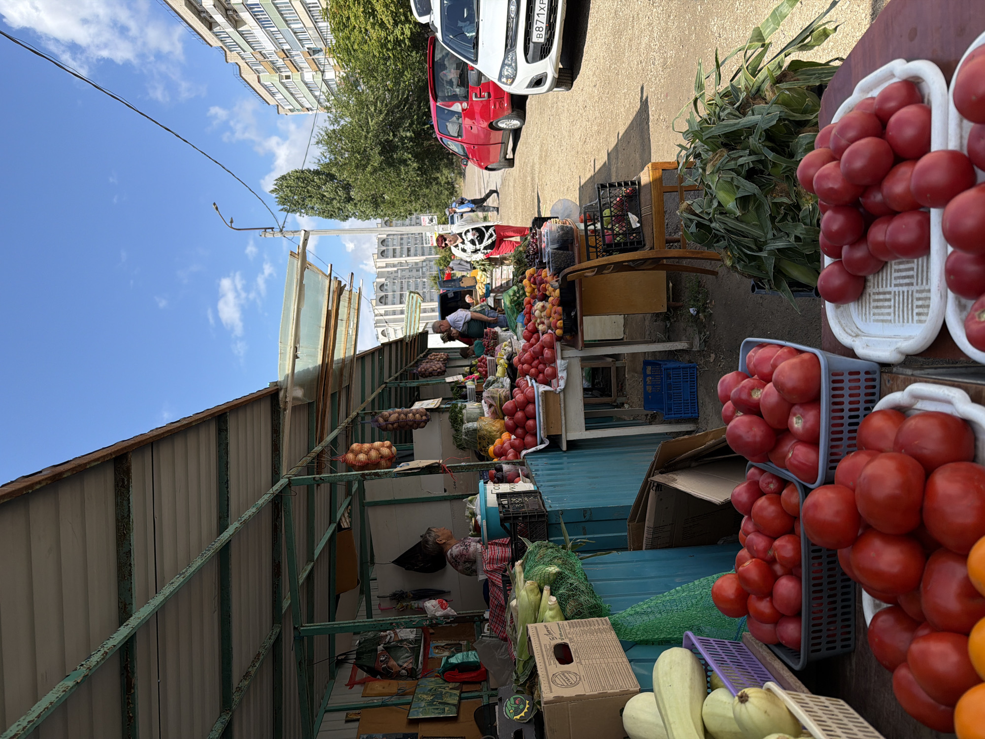 This image captures an outdoor market scene in Kamyshin, Russia, on a sunny day with a blue sky and scattered clouds. In the foreground, there is a stall laden with fresh produce, primarily tomatoes in baskets and on trays. To the left, long pale green squashes are visible in a purple basket. Behind the tomatoes, there is a large pile of corn stalks. A portion of a wooden market stall with a metal roof structure is prominent, with hanging onions and bags.
Several people are present. A woman with gray hair is seated behind the stall. A woman in red pants and a black and white patterned shirt stands near the produce, looking towards the right. Another woman, wearing a white shirt and dark pants, walks away from the stall towards a red car. In the background, there are parked cars, including a white car with a license plate starting with "B871XP," and a red minivan. Beyond the market, there are trees and multi-story residential buildings, typical of an urban environment. The ground is a dusty, unpaved surface. The overall impression is a bustling local market with fresh produce displayed for sale.