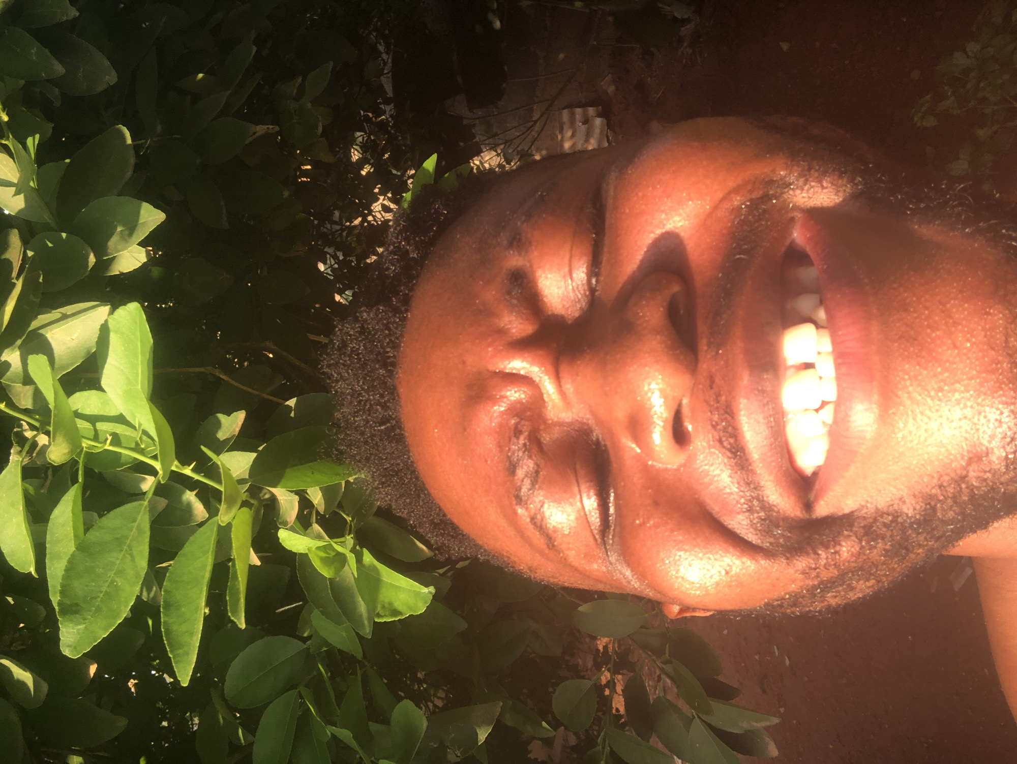 A close-up portrait image, rotated 90 degrees counter-clockwise, features a person with dark skin and short, dark hair, smiling broadly. The face is framed by lush green foliage on the left side, which appears brightly lit by direct sunlight. The person's mouth is open in a wide smile, revealing bright white teeth. Their skin appears somewhat glistening, possibly from sweat or the sun's reflection. The background behind the person on the right is dark and indistinct, likely shadowed ground or another natural element. The strong, direct sunlight on the person's face and the leaves suggests an outdoor setting during a bright day. The person's expression conveys joy or amusement. No visible text is present in the image.