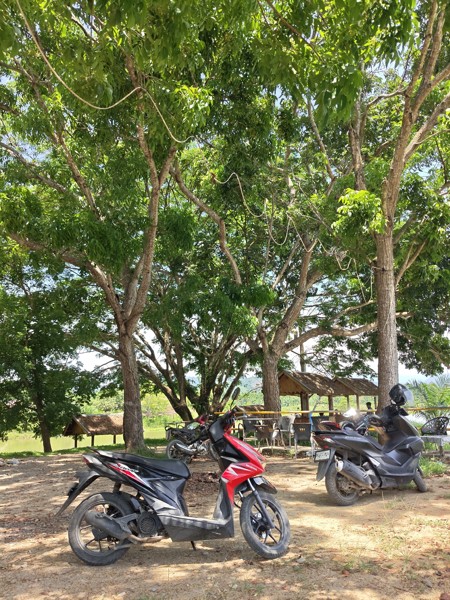 This image depicts a landscape scene near the city of Garab in Indonesia. Two scooters, one red and one black, are parked on a dirt area under the shade of several large trees. In the background, there is a small wooden gazebo with tables and chairs. Behind the gazebo, there appears to be a body of water, possibly a lake or pond. The foliage is lush and green. Ropes are hanging from the trees. There may be people sitting in the gazebo.