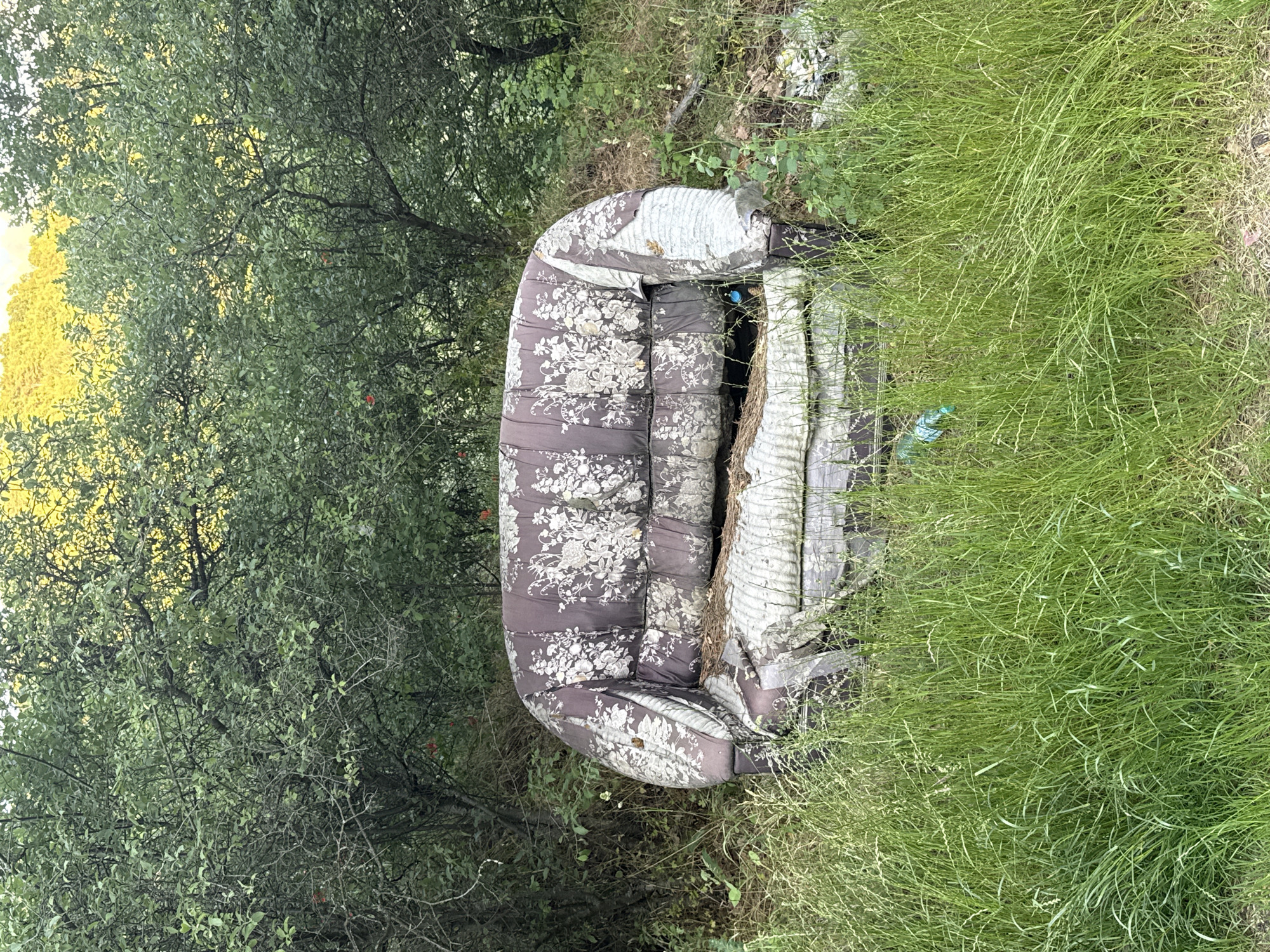 This image depicts an abandoned, severely deteriorated two-seater sofa or loveseat located in the city of Dyakovo, Bulgaria. The sofa's upholstery, featuring a faded dark brown or purple base with white or light-colored floral patterns, is extensively torn and shredded, exposing white interior padding and structural components. The seat cushions are collapsed and filled with organic debris, including dry leaves and twigs. The sofa is situated outdoors amidst an overgrown natural environment, with tall, vibrant green grass dominating the foreground and partially obscuring the lower half of the sofa. Dense, green deciduous trees and shrubs form a thick background behind the sofa. Through the upper branches of these trees, a diffuse bright yellow light is visible, suggesting sunlight on distant foliage or a hazy sky. A light blue plastic bottle is partially visible in the tall grass to the lower left of the sofa. No individuals are present in the scene.