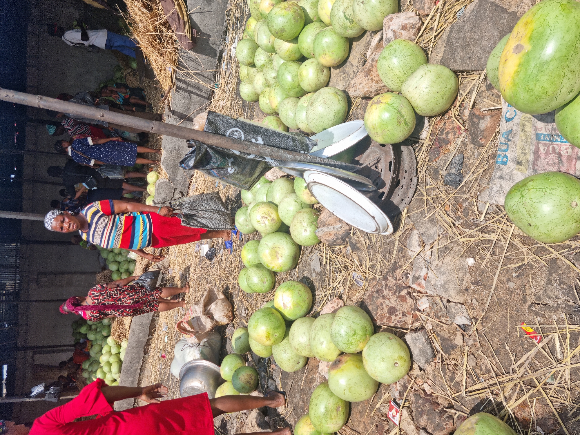 The image captures a vibrant outdoor market scene under bright daylight, featuring numerous people and large quantities of light green, round fruits, likely watermelons or gourds, spread across a dusty, straw-covered ground.
In the foreground, a woman wearing a brightly striped t-shirt (red, blue, yellow, black, white) and red pants stands, looking towards the viewer. She has a black and white patterned head covering. To her right, a person in a red garment is partially visible. Further into the scene, a group of people, predominantly women, are gathered. One woman wears a blue dress with white polka dots, another a red and black patterned dress with braided hair. In the mid-ground, a man in a white shirt and blue jeans is visible among the produce, and other figures are seen sitting or moving in the background, suggesting a busy environment.
The ground is a mix of bare earth, concrete patches, and abundant dry straw or hay, characteristic of an informal outdoor market. Large quantities of the light green, spherical fruits are piled directly on the ground, extending throughout the visible area. Scattered among the fruits are several metal bowls or plates, some stacked, which might be used for weighing or serving. Woven sacks and dark plastic bags are also present on the ground. A prominent dark pole or beam stands vertically in the mid-ground.
The bright sunlight casts clear shadows, indicating it is daytime. The scene conveys an active, communal atmosphere of commerce or preparation for sale.
Visible text includes partial letters "BUA C" and "IN P" on a white bag located in the mid-ground among the fruits. Some illegible white text is also visible on a black bag. A small red and yellow wrapper lies on the ground near the center.