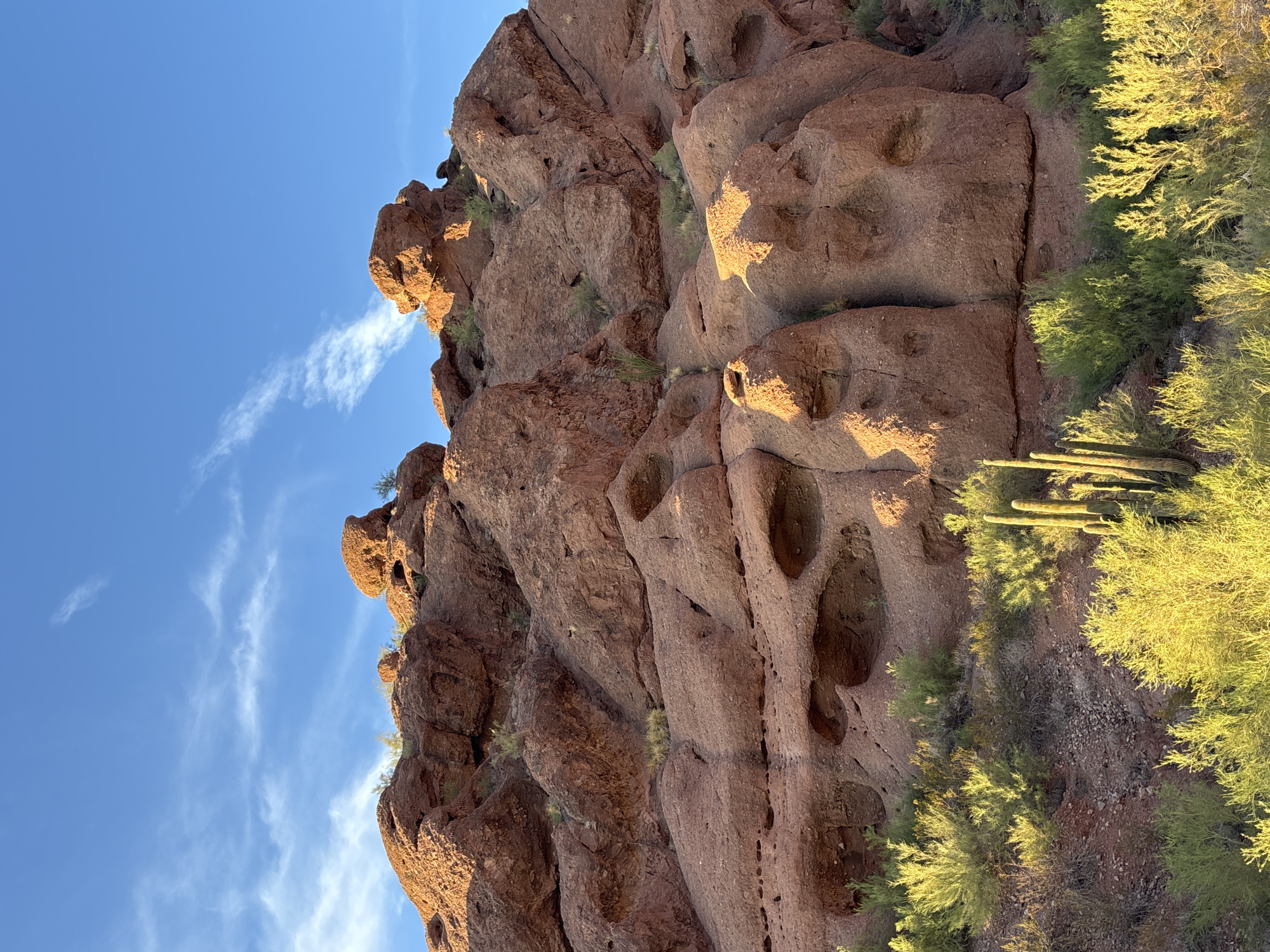The image depicts a desert landscape with a prominent rock formation and vegetation. The rock formation is composed of large, weathered red rocks with visible holes and crevices, suggesting erosion over time. Sparse green vegetation, including what appears to be cacti and bushes, grows at the base and on the slopes of the rocks. The sky is clear blue with a few wispy white clouds. The lighting suggests it is either early morning or late afternoon, with warm sunlight illuminating the scene.
This scene is likely located in Papago Park, Phoenix, Arizona, a well-known area characterized by its distinctive red rock formations and desert flora. The specific rock formations in the image, particularly the honeycomb weathering, are characteristic of the geology found in this park.