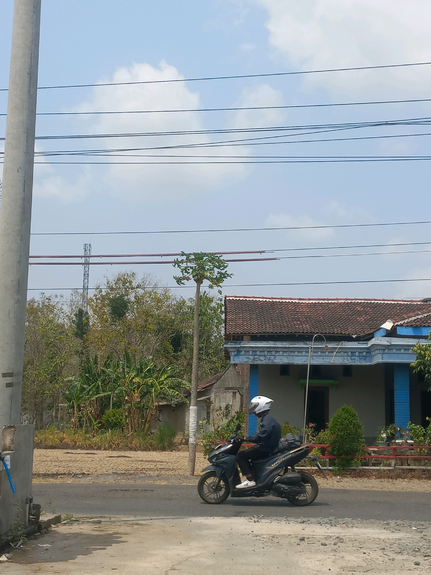 A person wearing a white helmet and a dark jacket rides a dark-colored scooter on a paved road. The scooter has a black bag strapped to its rear. The person is facing towards the right of the frame. In the background, there is a house with a brown tiled roof and blue trim. Adjacent to the house, there are various trees and vegetation, including banana trees. A tall, thin tree with some fruit is positioned in front of the house. A concrete utility pole stands to the left of the frame. Overhead, multiple power lines are visible against a pale blue sky with scattered clouds. The ground in the foreground appears to be a mixture of asphalt and gravel. The scene is likely located in a semi-rural area of Baturetno, Indonesia, given the architectural style of the house and the surrounding vegetation.