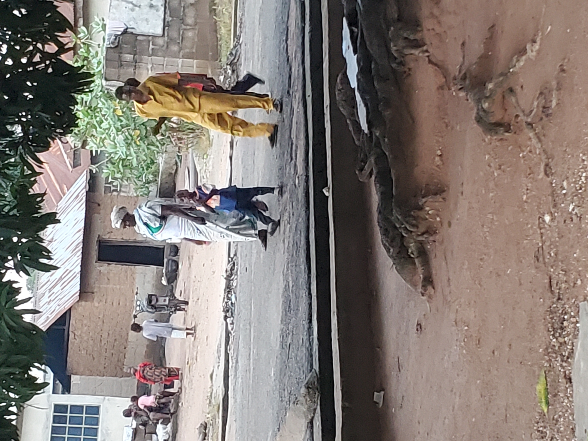 The image depicts a street scene in Mararaba, Nigeria, during daylight. The foreground consists of reddish-brown dirt with multiple exposed, gnarled tree roots and scattered small pebbles. A raised concrete curb separates this dirt area from a dark, paved road that extends horizontally across the mid-ground.
On the paved road, four individuals are in motion from left to right. On the left side of the road, a woman wearing a white head covering and a light-colored, patterned garment walks alongside a small child in a blue and white short-sleeved top and dark pants, whose hands are clasped in front. Further right on the road, a man in a mustard yellow collared shirt and matching pants walks, slightly ahead of another individual wearing dark pants and a partially visible red top. Dark debris is visible on the far edge of the paved road, opposite the curb.
The background features various structures and additional individuals. On the far left, a white single-story building with a gridded window is visible, in front of which an adult sits on a low structure, flanked by two standing children; one child wears a pink top, and the other wears a red patterned garment. To the right of this group, a person with dark hair, wearing a light-colored short-sleeved shirt and light shorts, stands next to a light-colored motorcycle. Behind them, a building constructed of earth-toned brick or mud with a corrugated metal roof and a dark doorway is visible, with several dark pots or containers on the ground nearby. Further right in the background, green leafy vegetation grows against a cinder block wall. The top portion of the image is framed by dark green foliage from overhead trees.