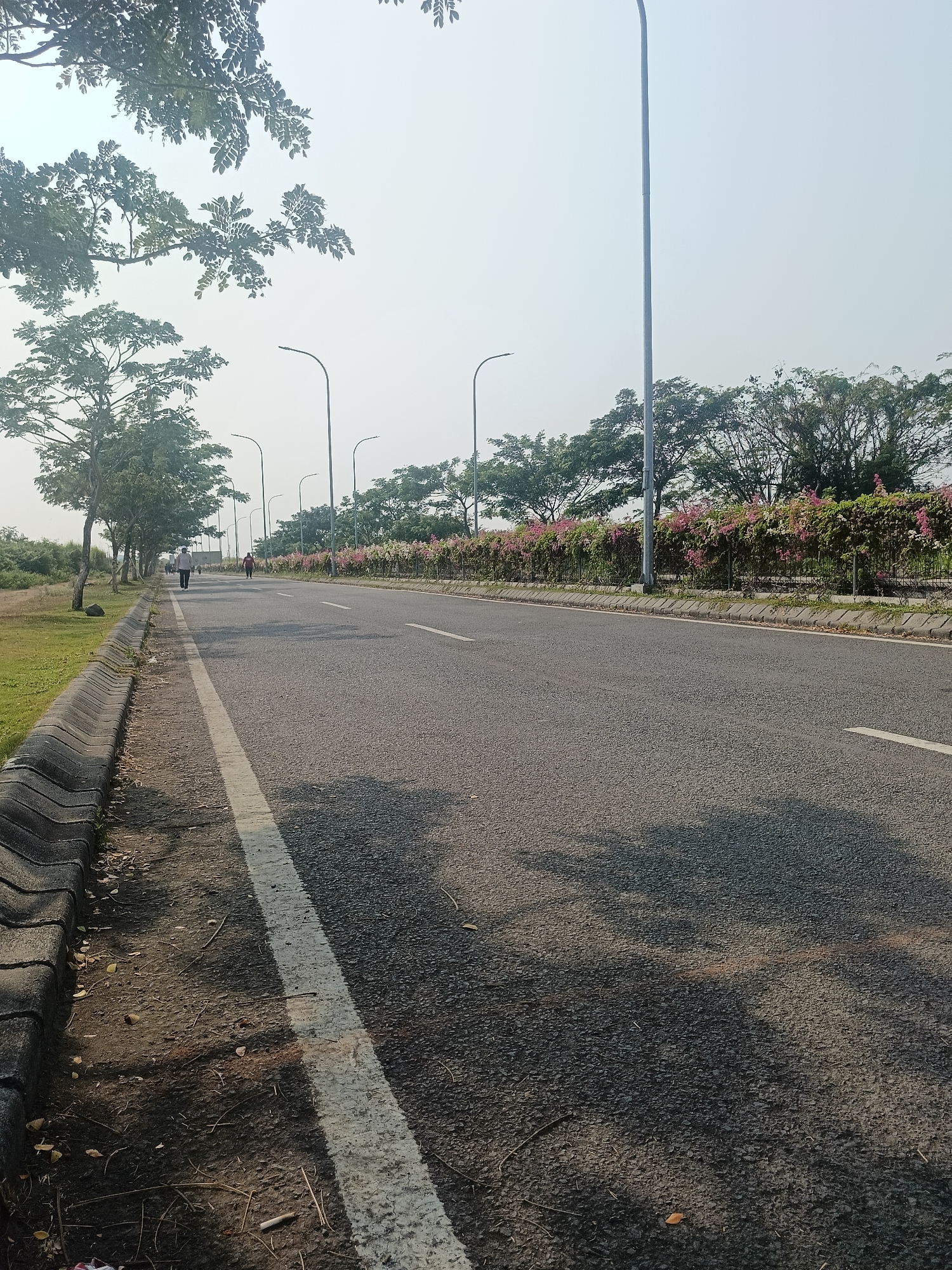 An asphalt road stretches towards the horizon in Punggul, Indonesia, bordered by a grassy verge and a concrete curb on the left. Several streetlights line the road, interspersed with trees that cast shadows on the pavement. A line of flowering bushes with pink and white blooms runs along the right side of the road, separated from it by a black metal fence. Two individuals are visible walking in the distance on the left side of the road. The sky is hazy and pale.