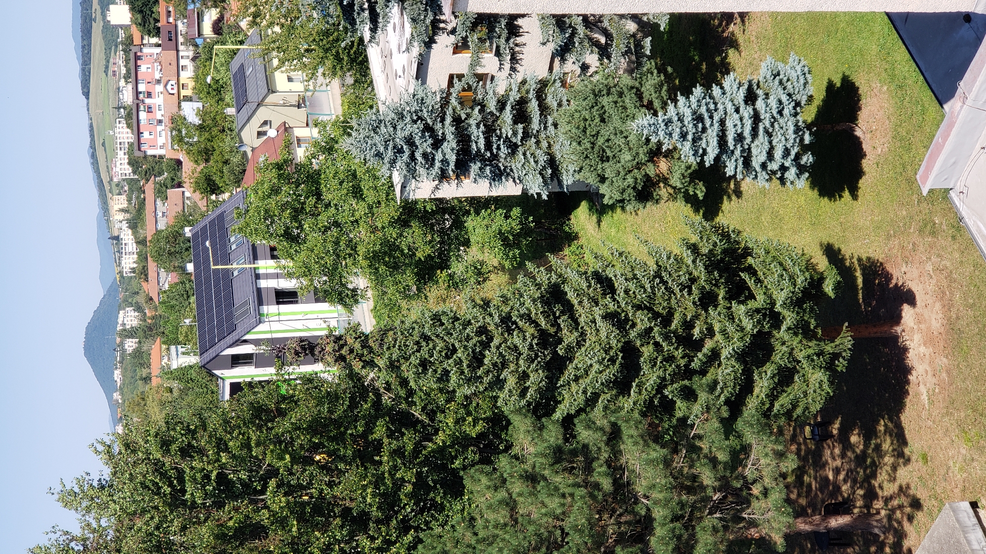 The image depicts a residential area in Prešov, Slovakia, on a clear day. In the foreground, to the left, is a tall evergreen tree with dark green foliage, casting shadows on the dry, brown earth below. To the right of this tree, and slightly further back, is a smaller, lighter green evergreen tree. Behind these trees, a modern building with a gray roof covered in solar panels is visible. This building features a white facade with vertical green and gray stripes. Further in the background, a cluster of residential buildings with red-tiled roofs and some taller apartment blocks are spread across a gentle slope, with a distant, tree-covered hill forming the horizon. The sky is clear and blue. No people are visible in the image.